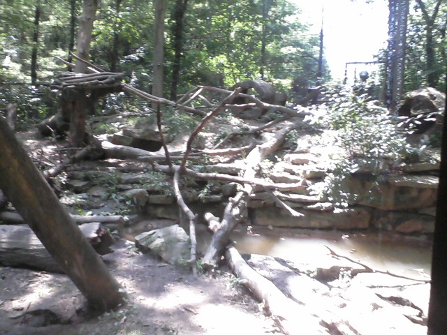 North America- Wolverine exhibit