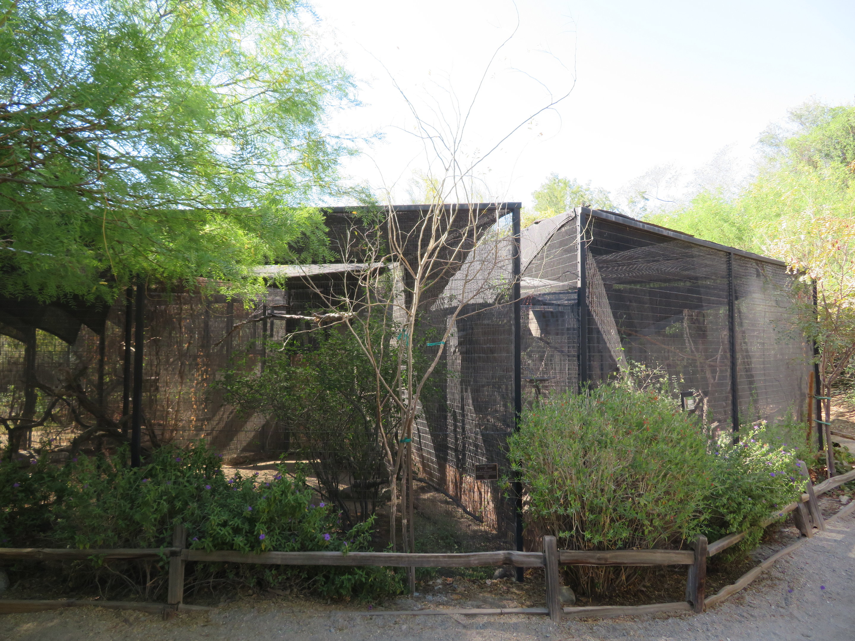 North American Aviaries