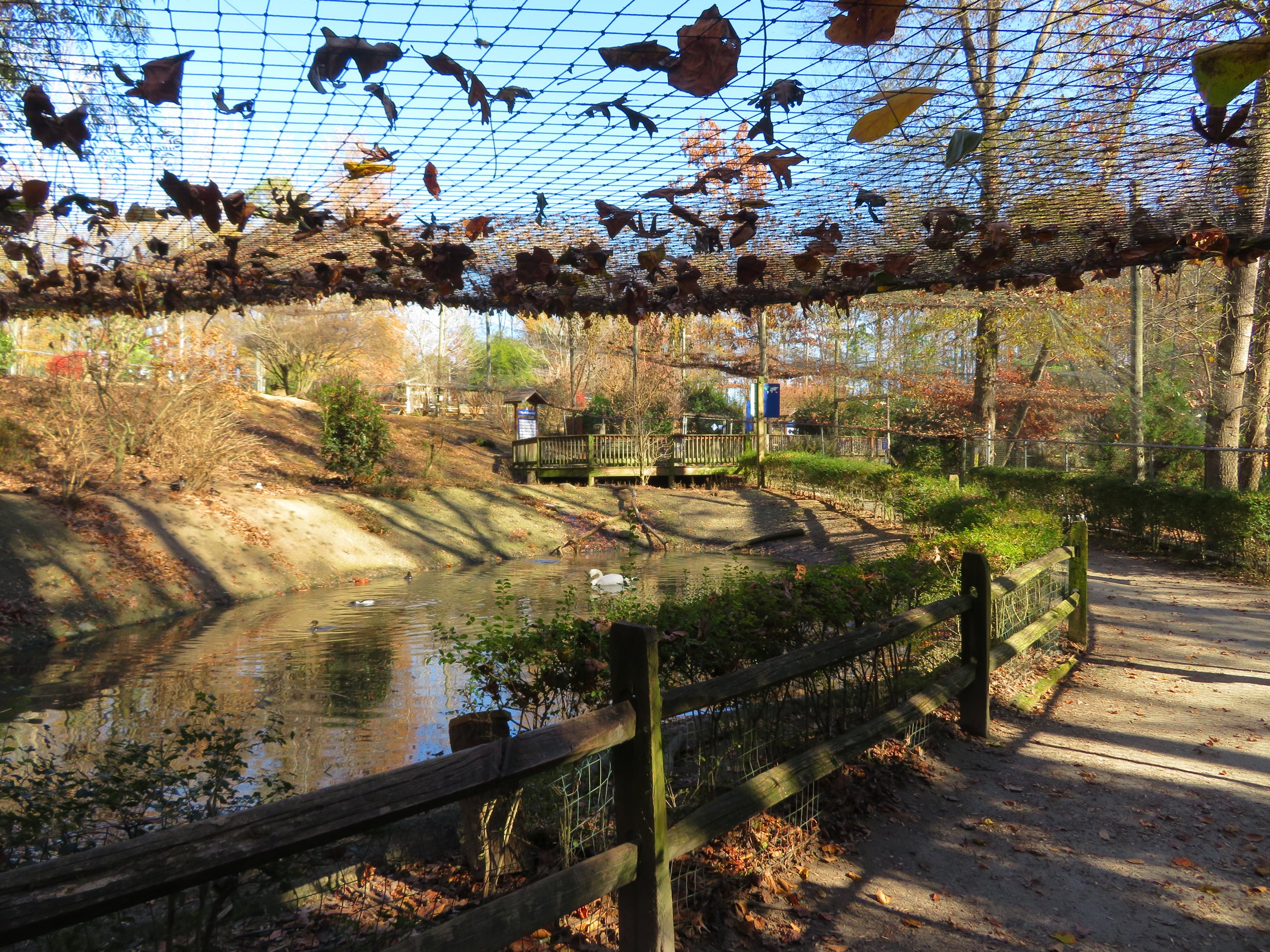 North American Aviary