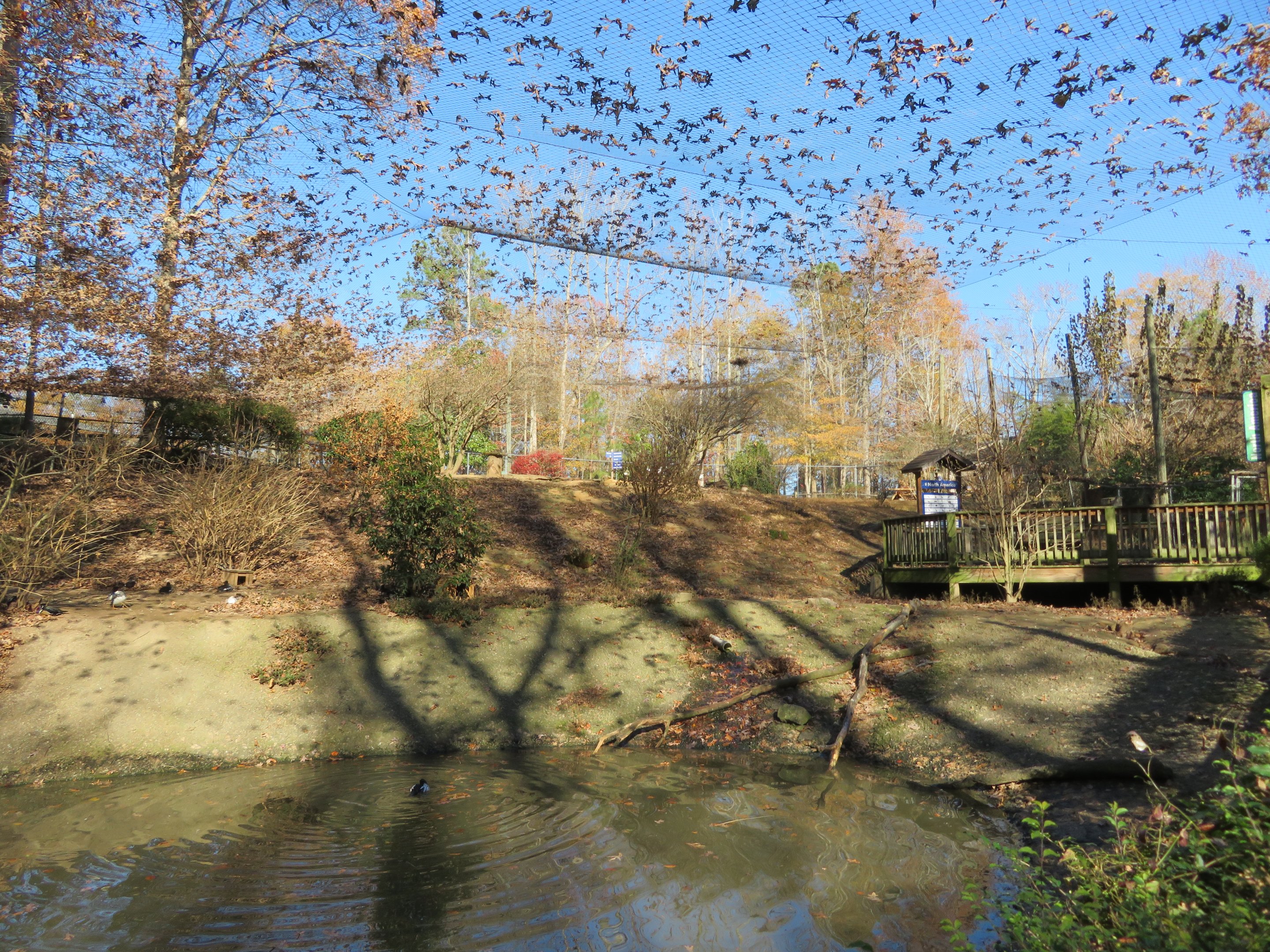 North American Aviary