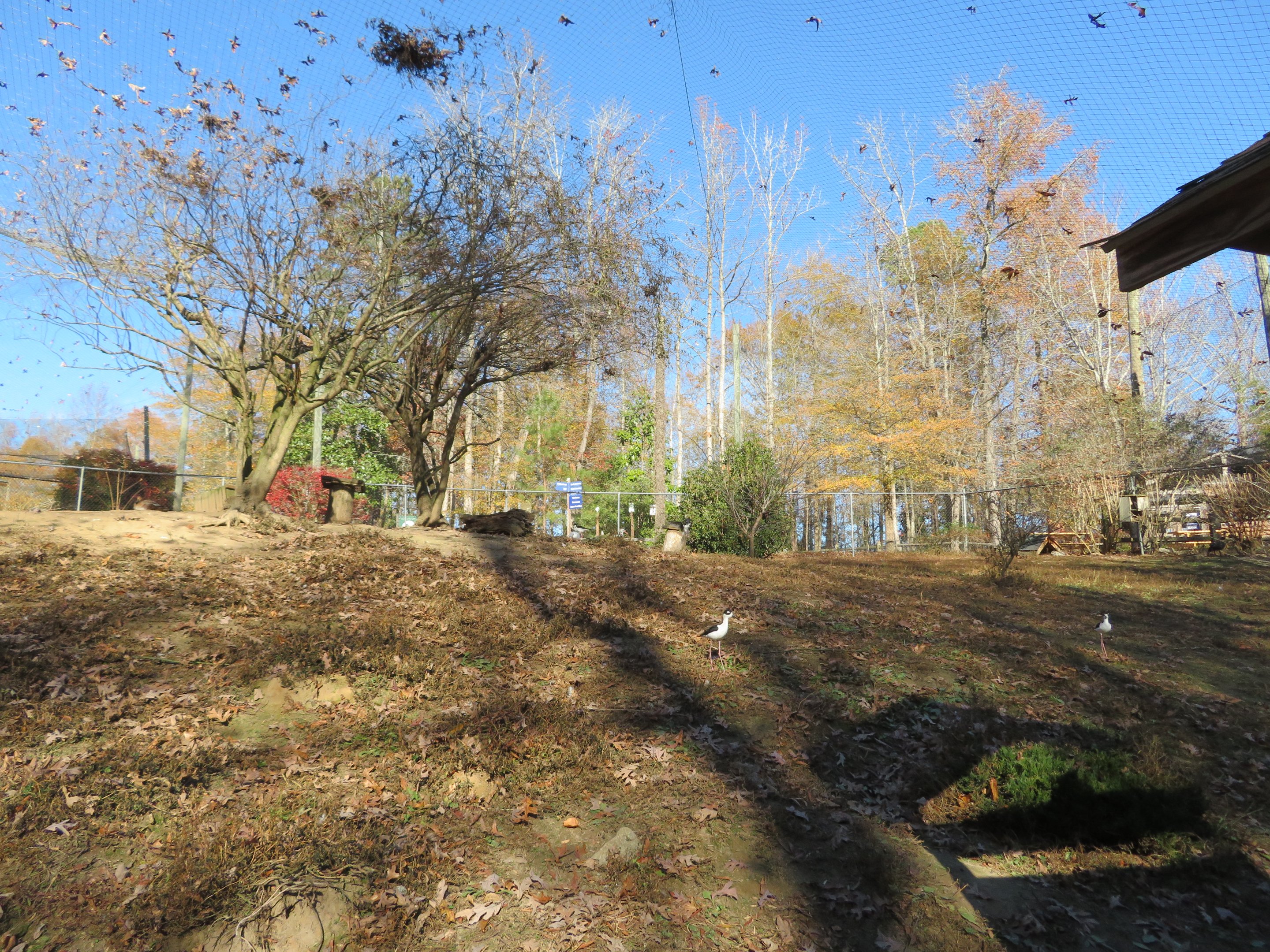 North American Aviary
