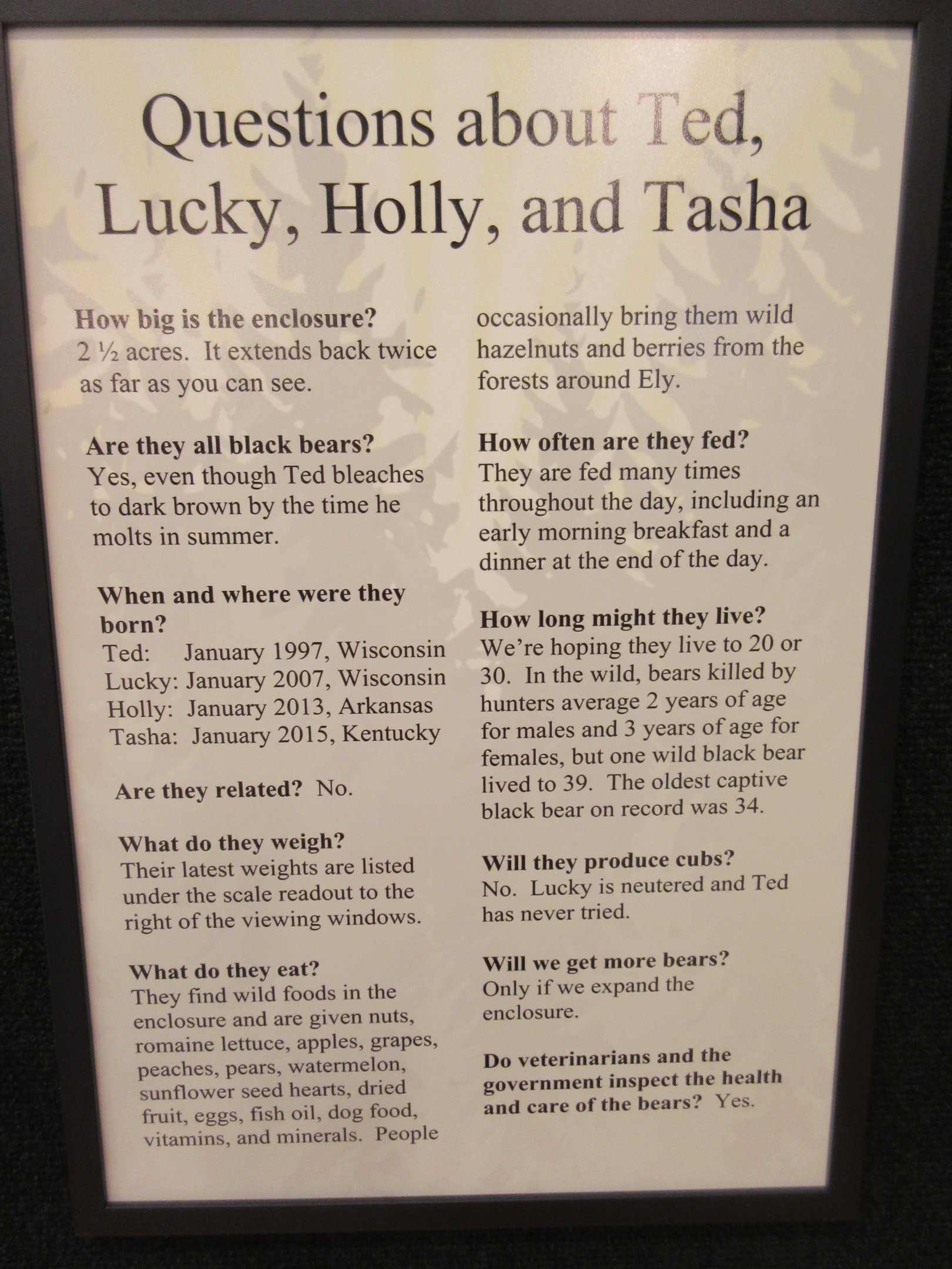 North American Bear Center - Bear Bios