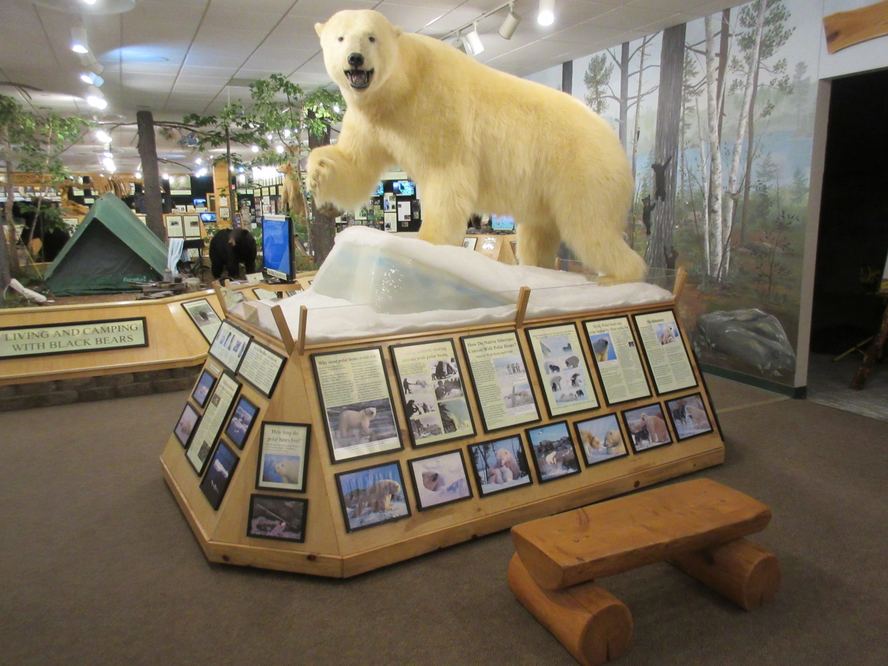 North American Bear Center