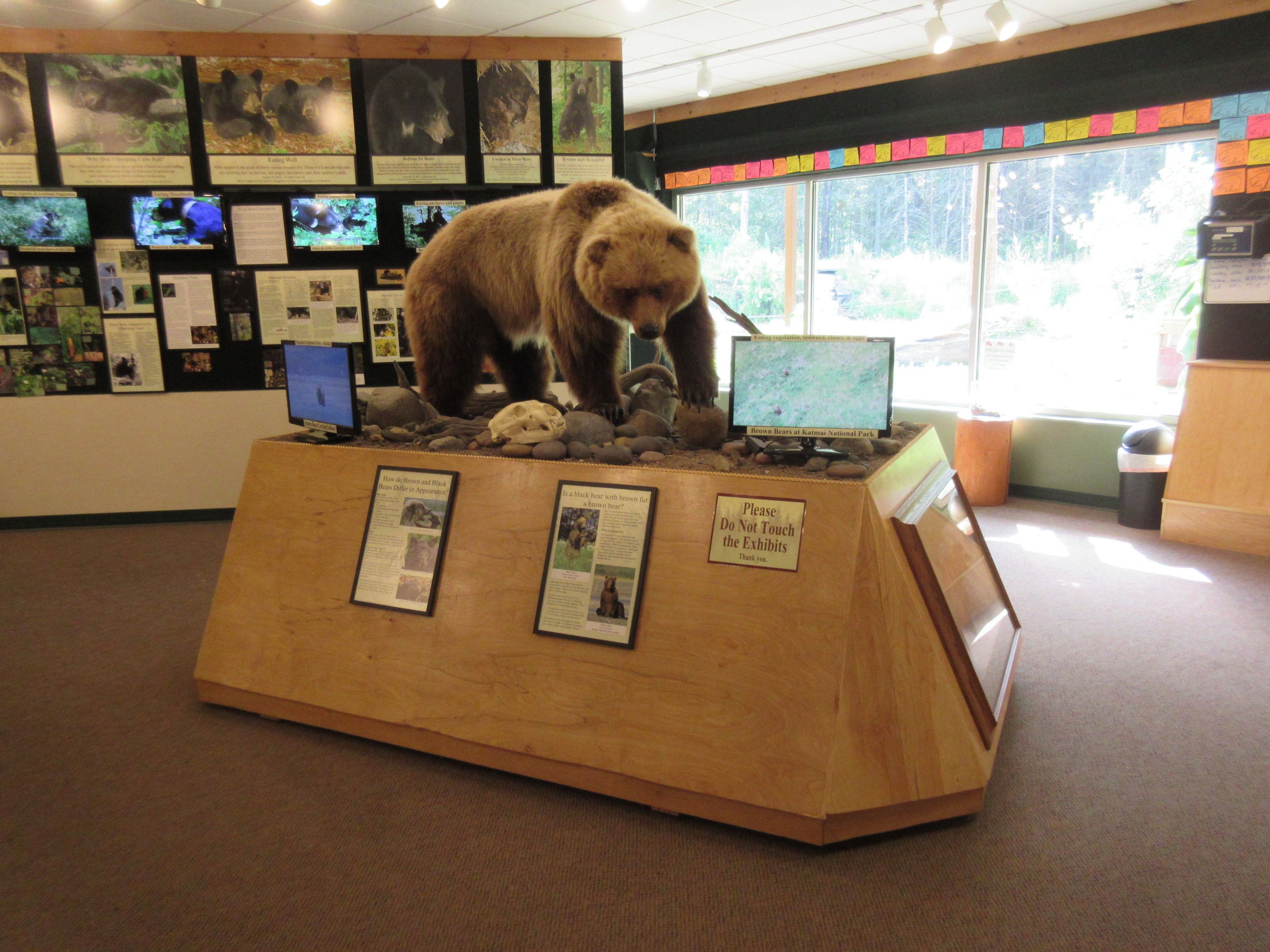 North American Bear Center