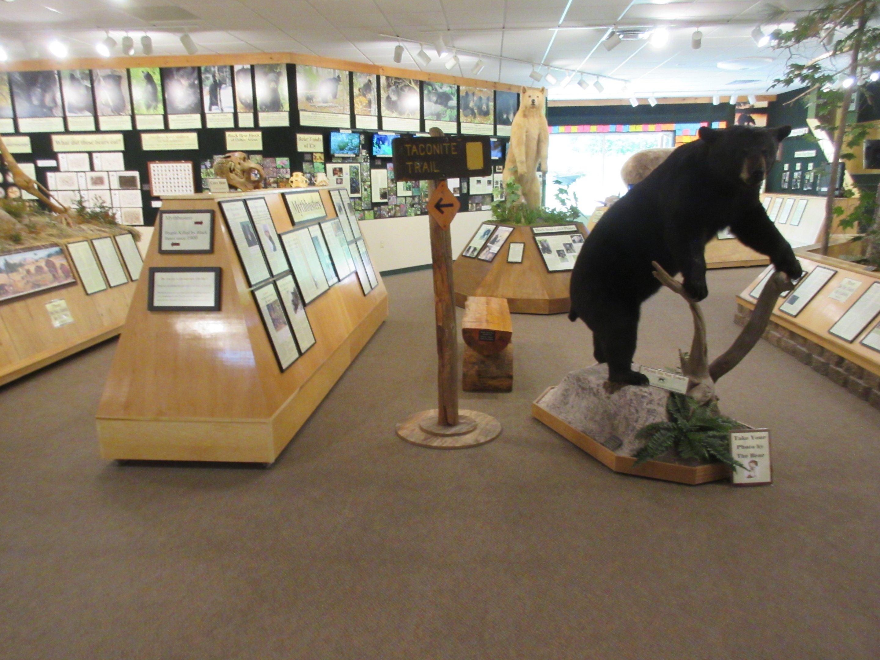 North American Bear Center