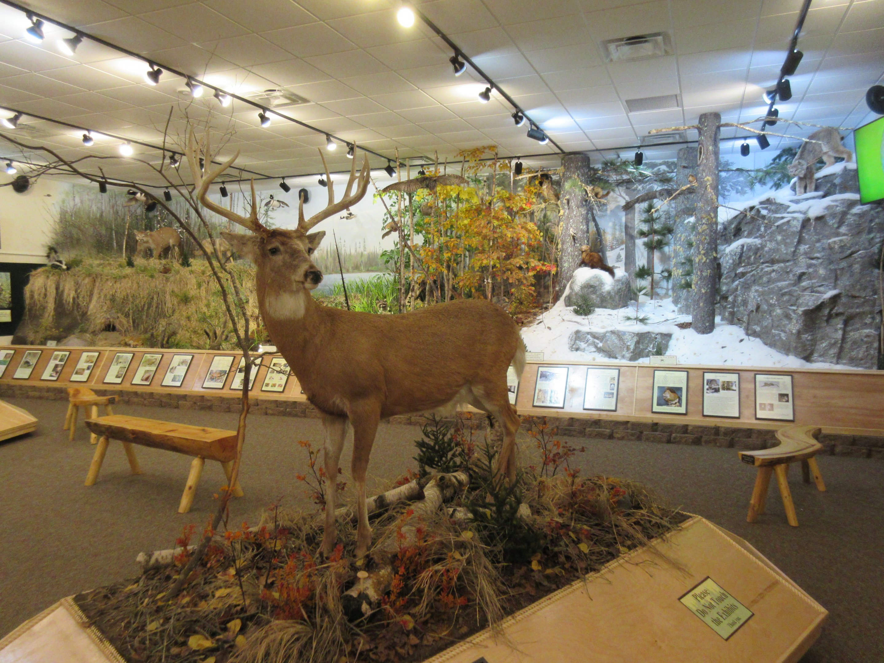 North American Bear Center