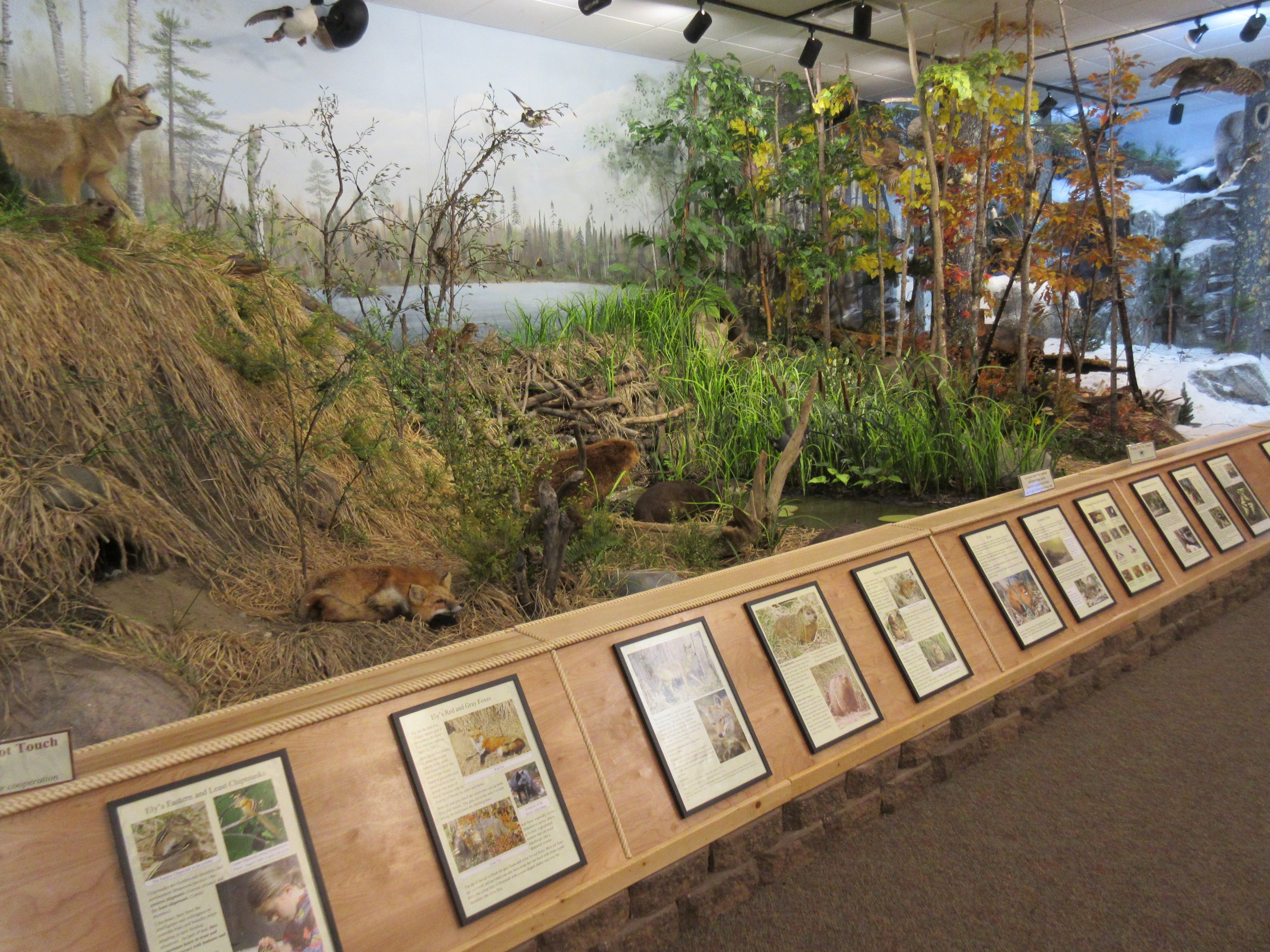 North American Bear Center