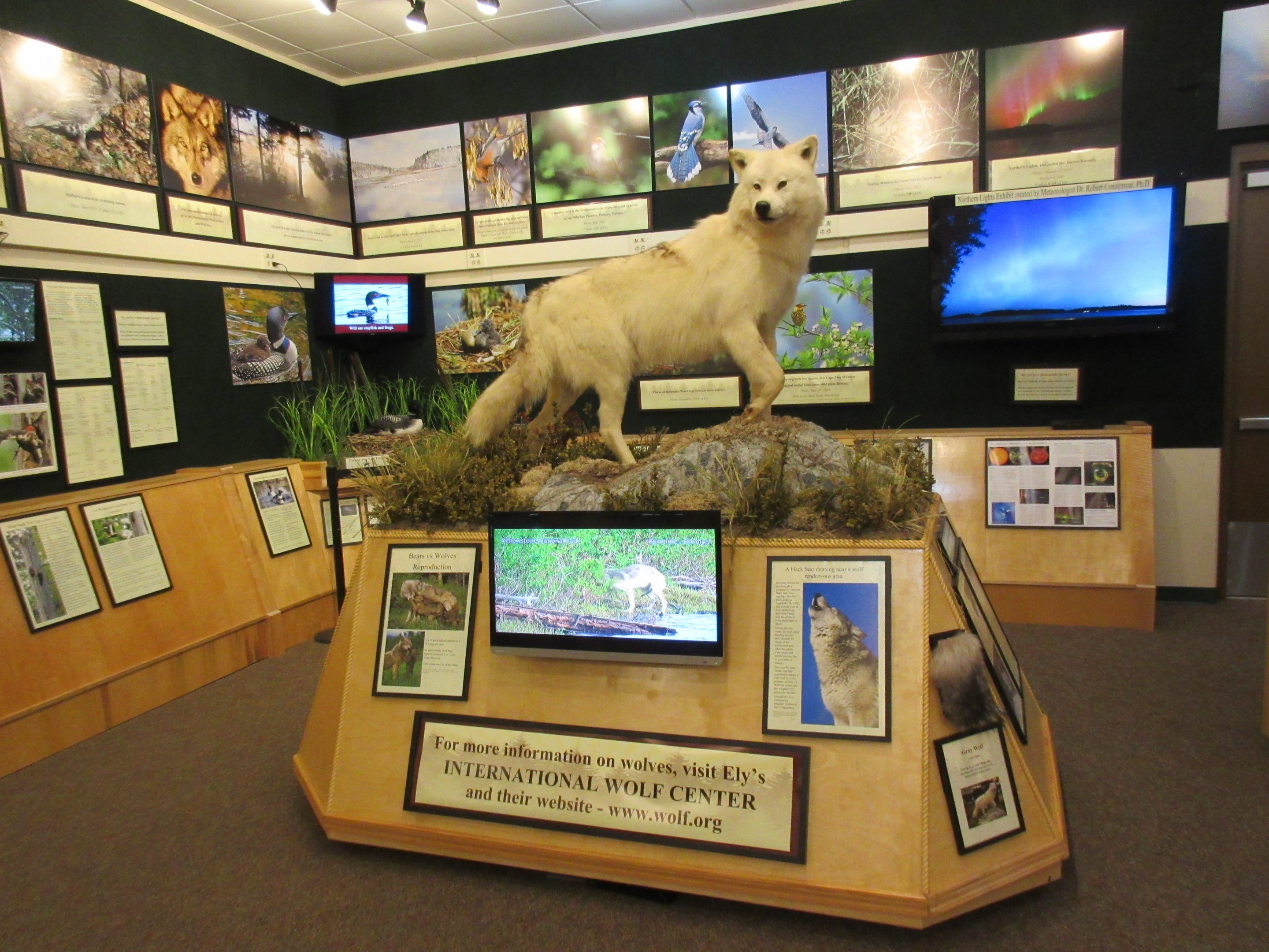 North American Bear Center