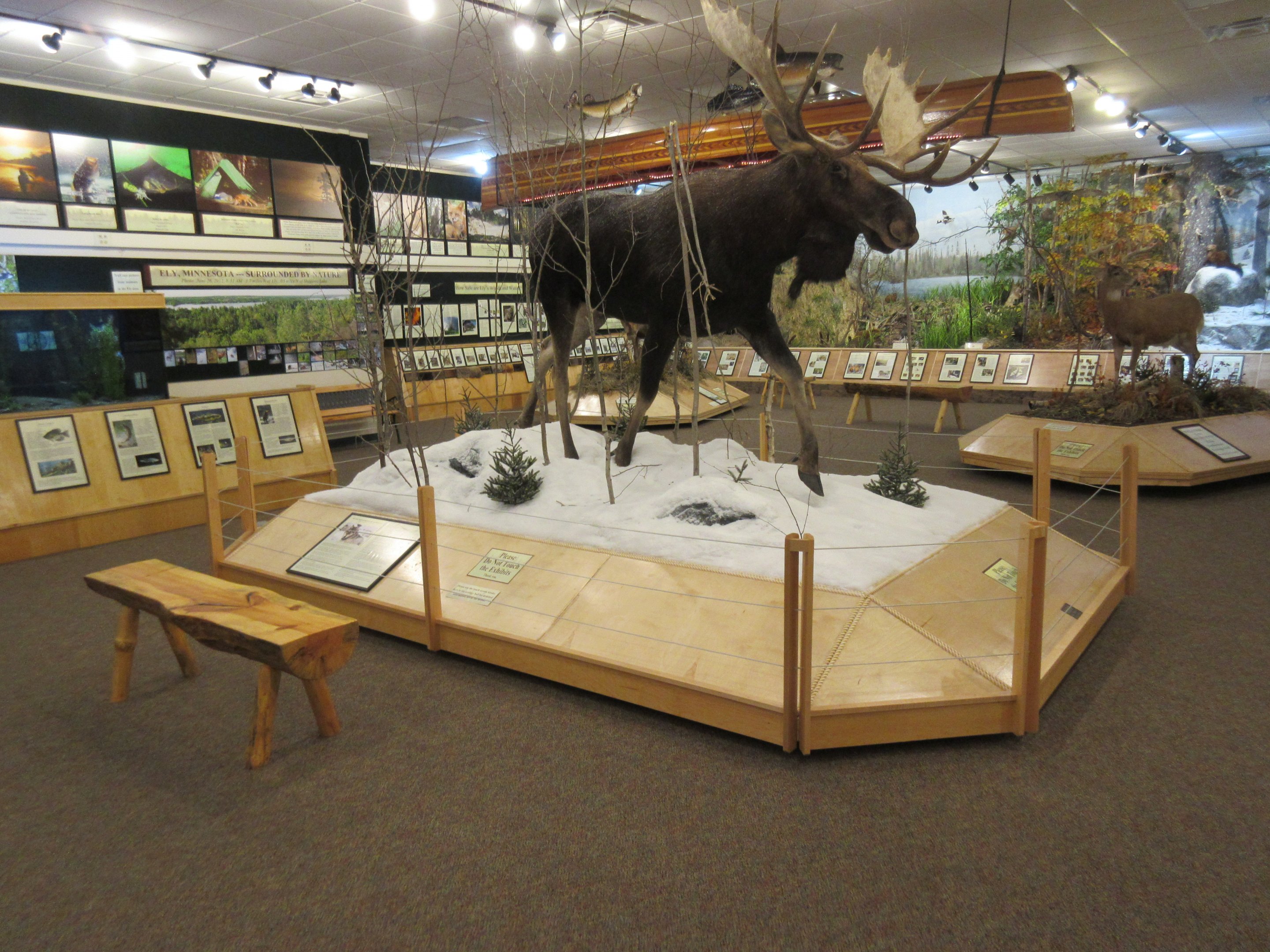 North American Bear Center