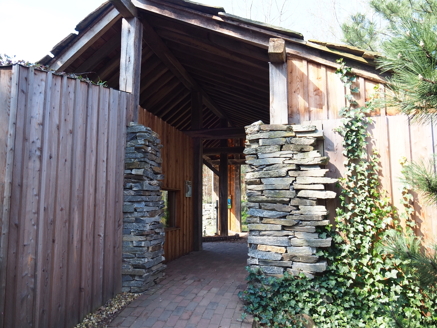 North American beaver and Hermann's tortoise shelter, 2019-03-30