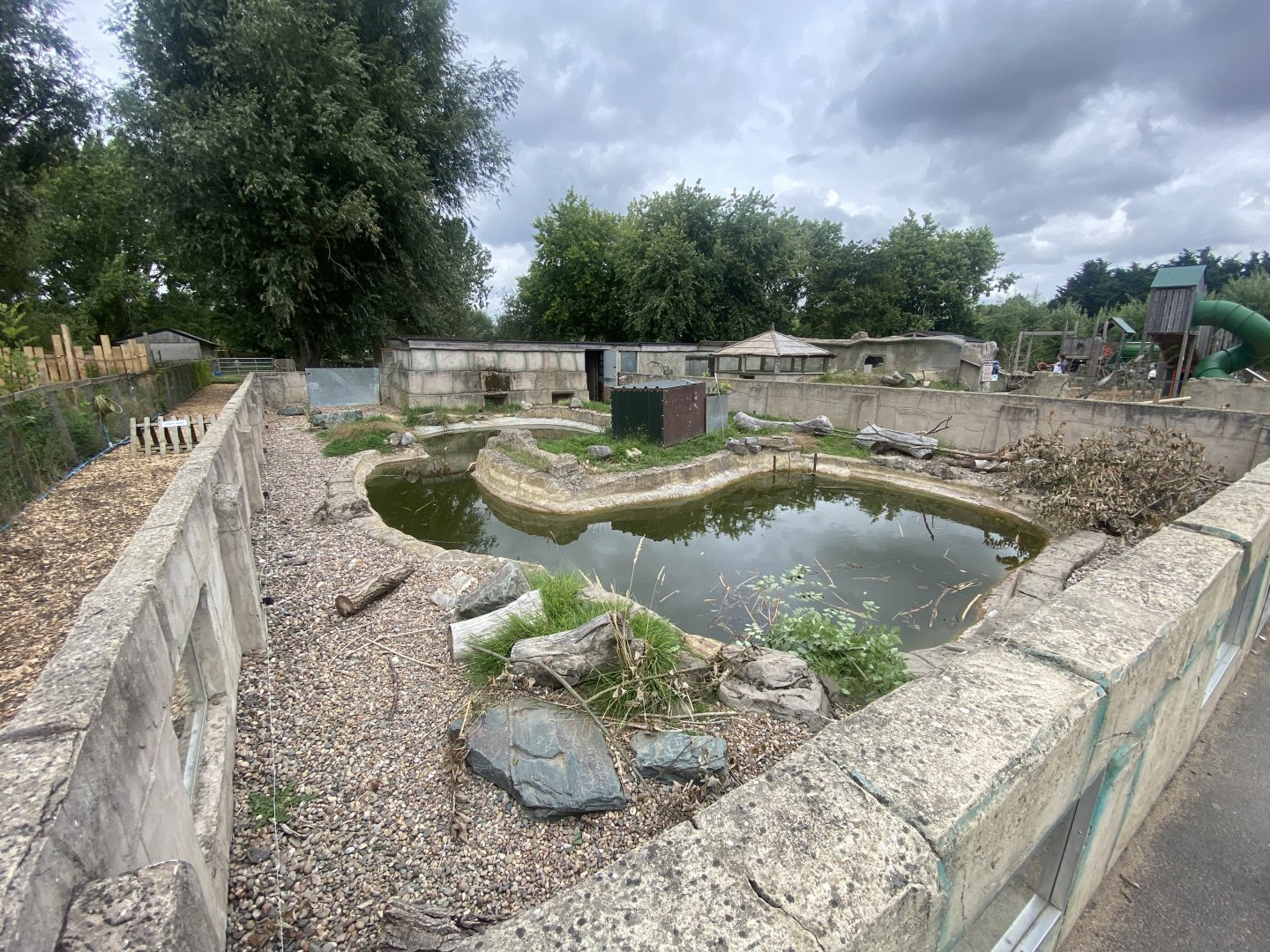 North American beaver exhibit 040824