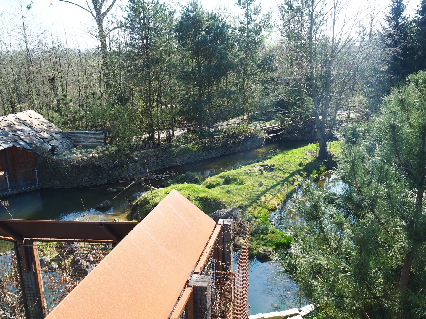 North American beaver exhibit, 2019-03-30