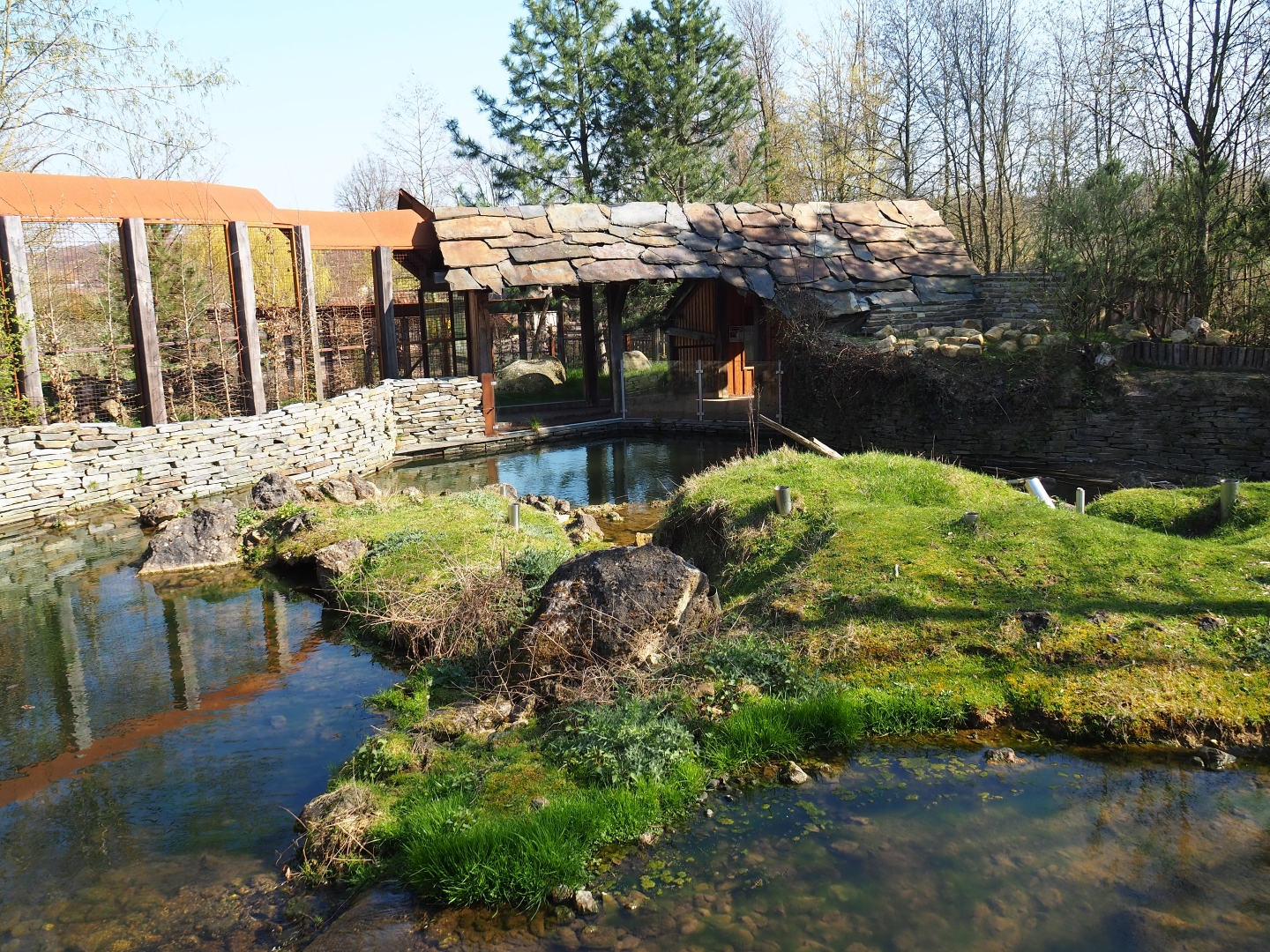 North American beaver exhibit, 2019-03-30