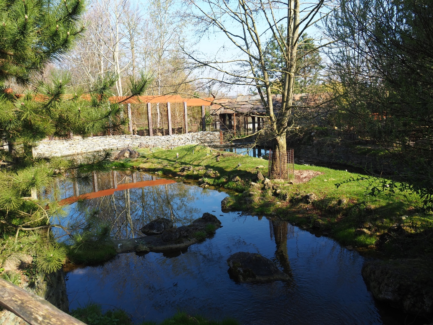 North American beaver exhibit, 2019-03-30