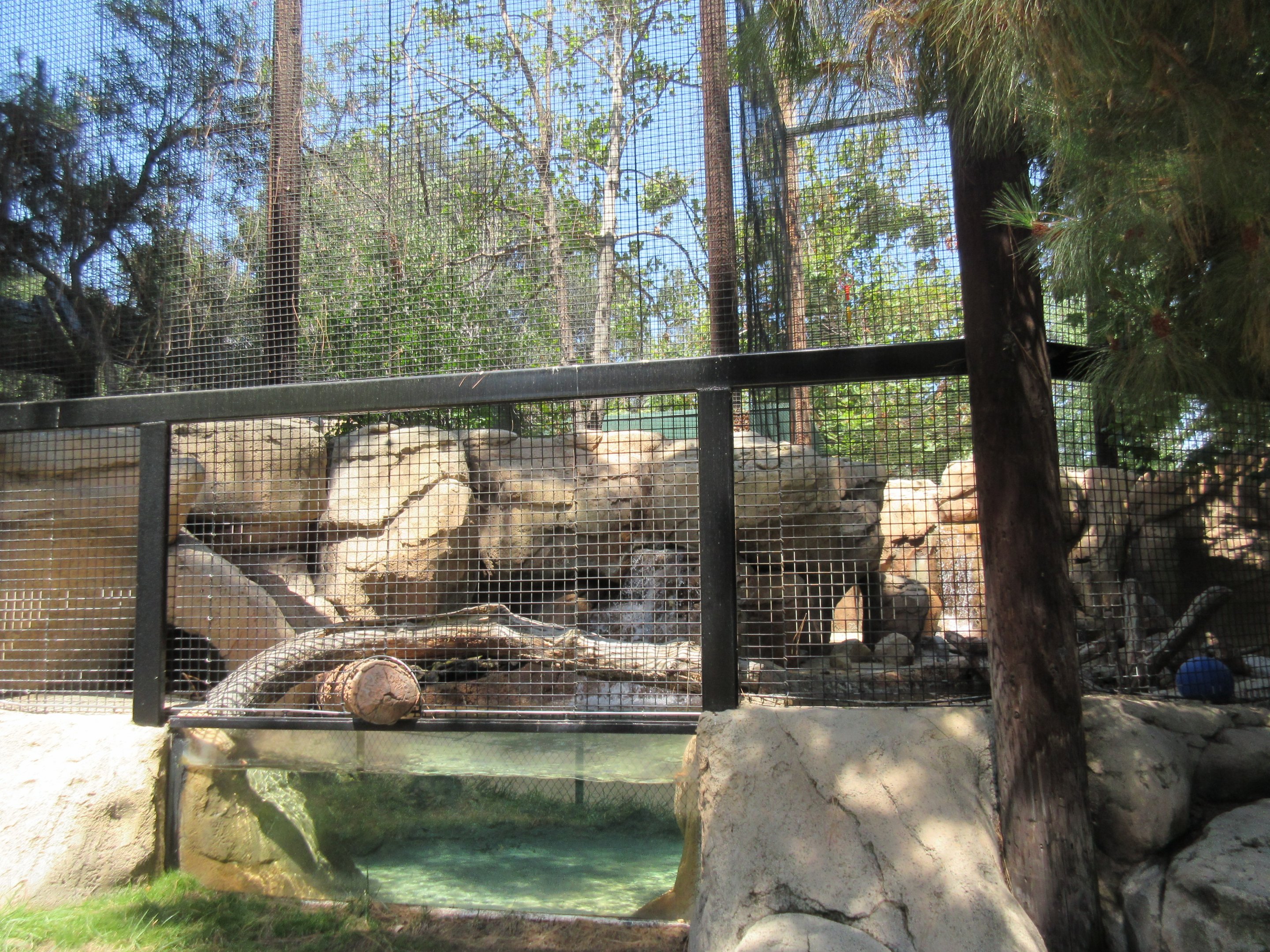 North American Beaver Exhibit (50% of the enclosure)