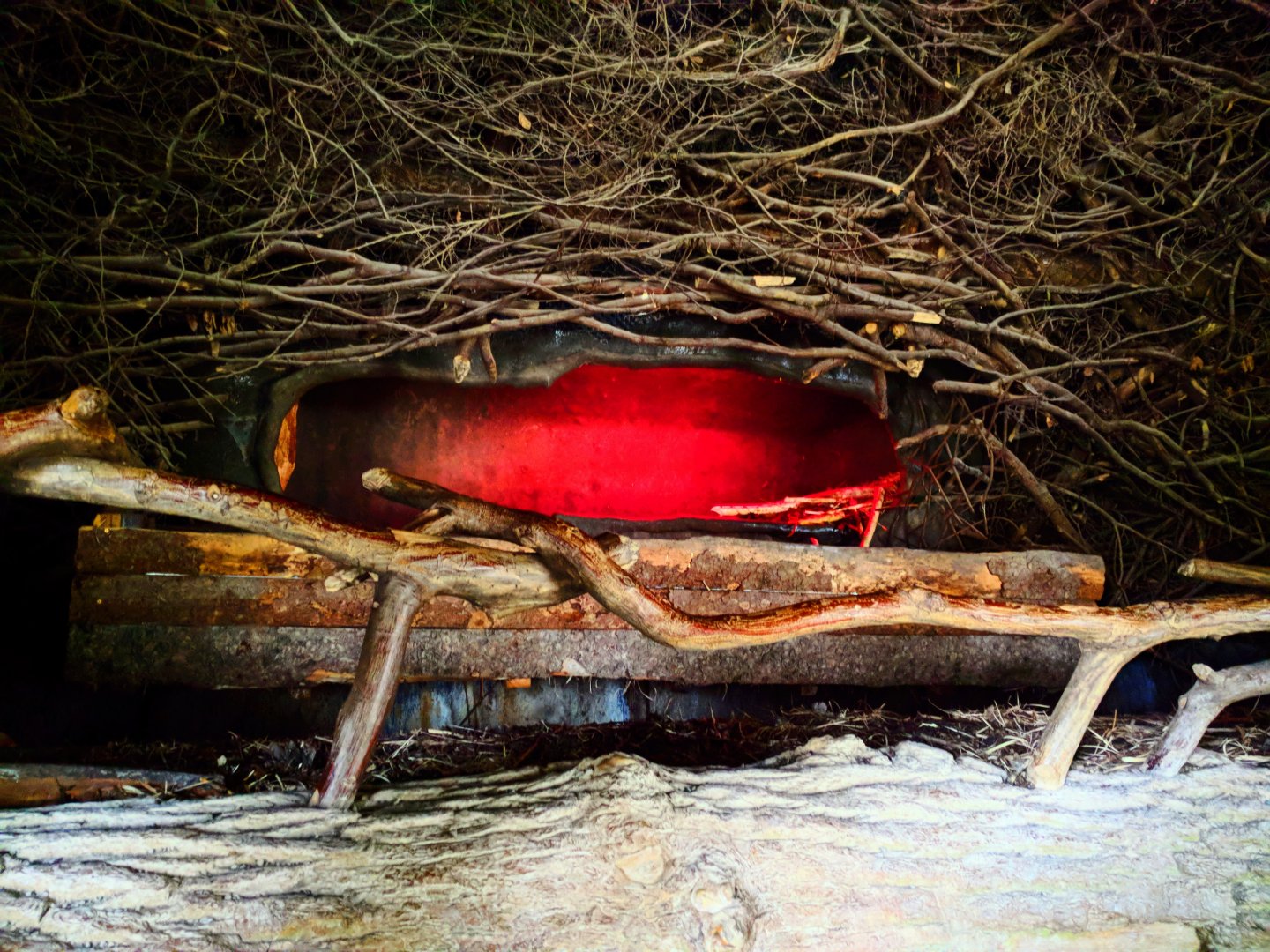 North American Beaver Indoor Enclosure