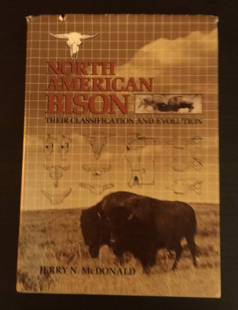 North American Bison Their Classification and Evolution