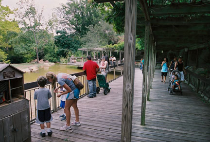 north american boardwalk