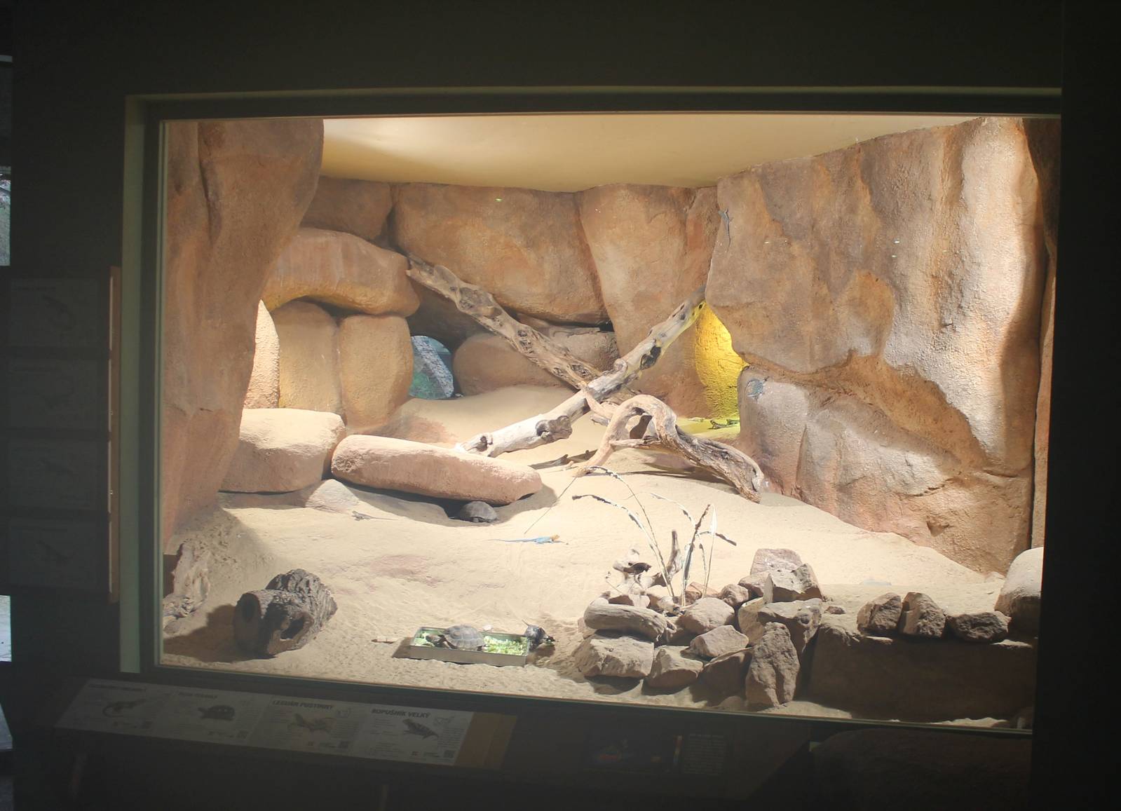 North American desert enclosure