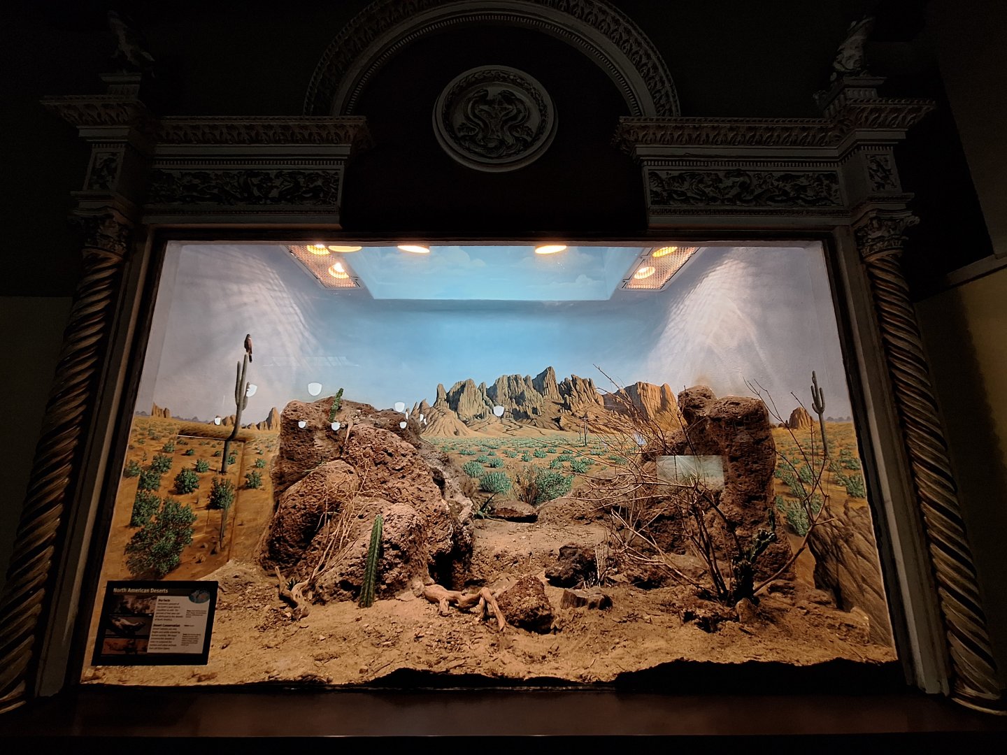 North American Deserts terrarium