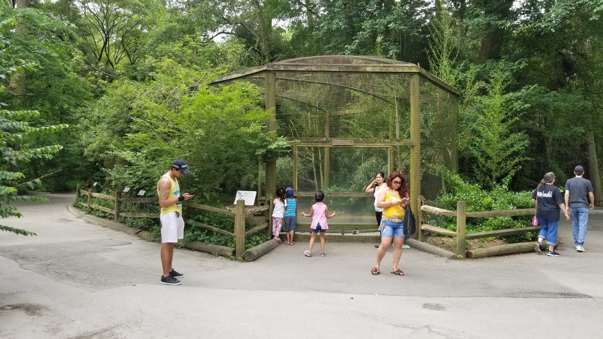North american ducks exhibit