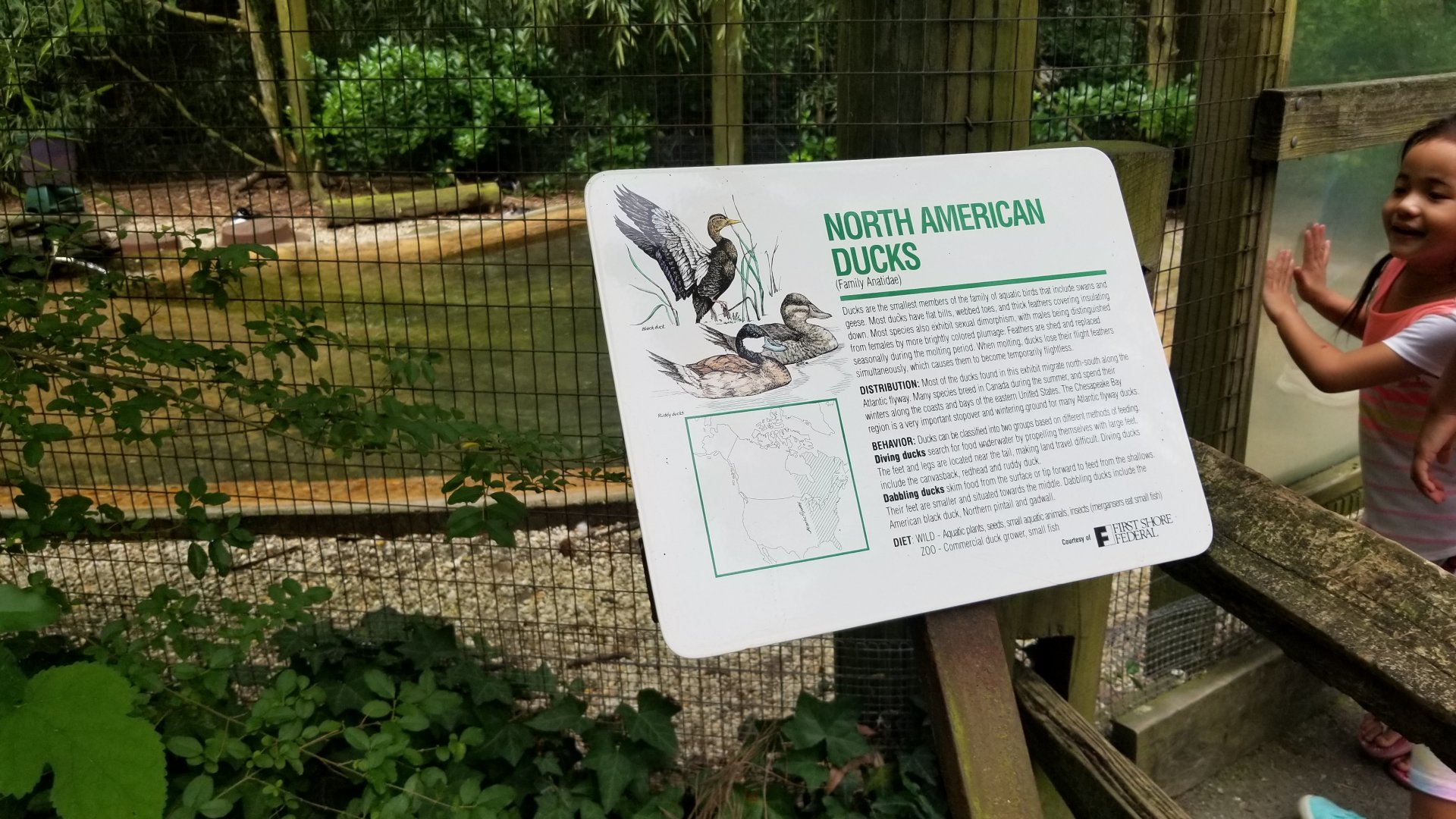 North american ducks sign