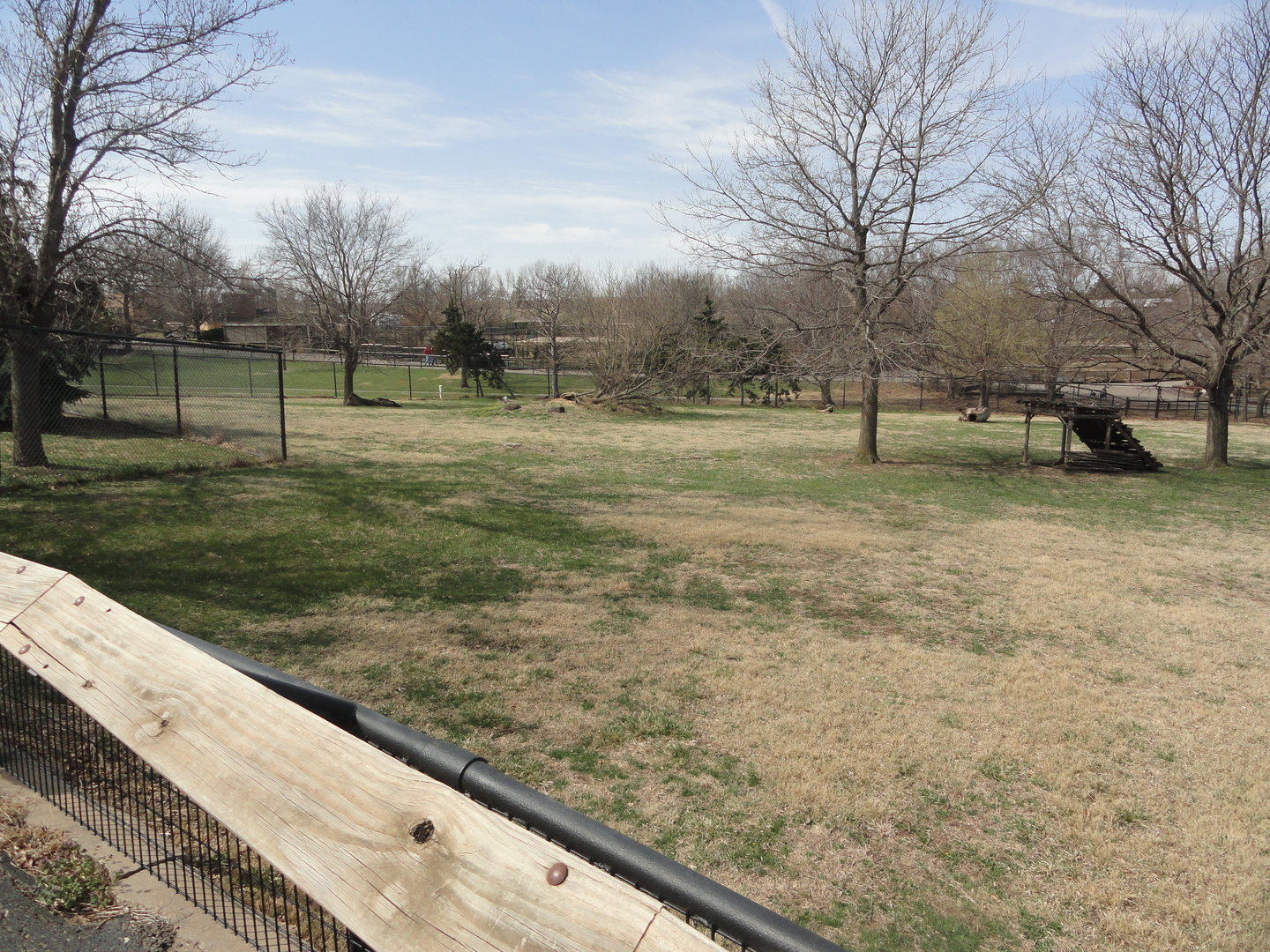 North American Exhibit - Pronghorn & White Tailed Deer Exhibit - Left Side