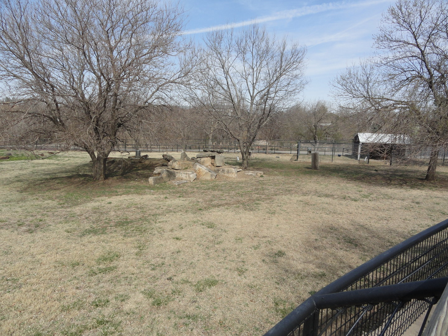 North American Exhibit - Pronghorn & White Tailed Deer Exhibit - Right Side