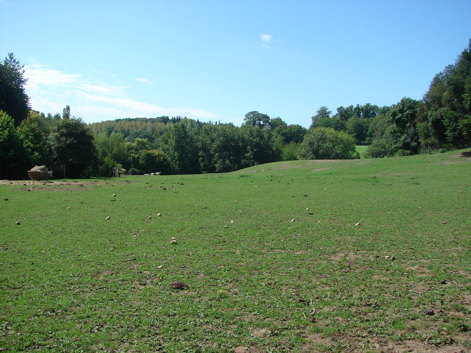 North american exhibit