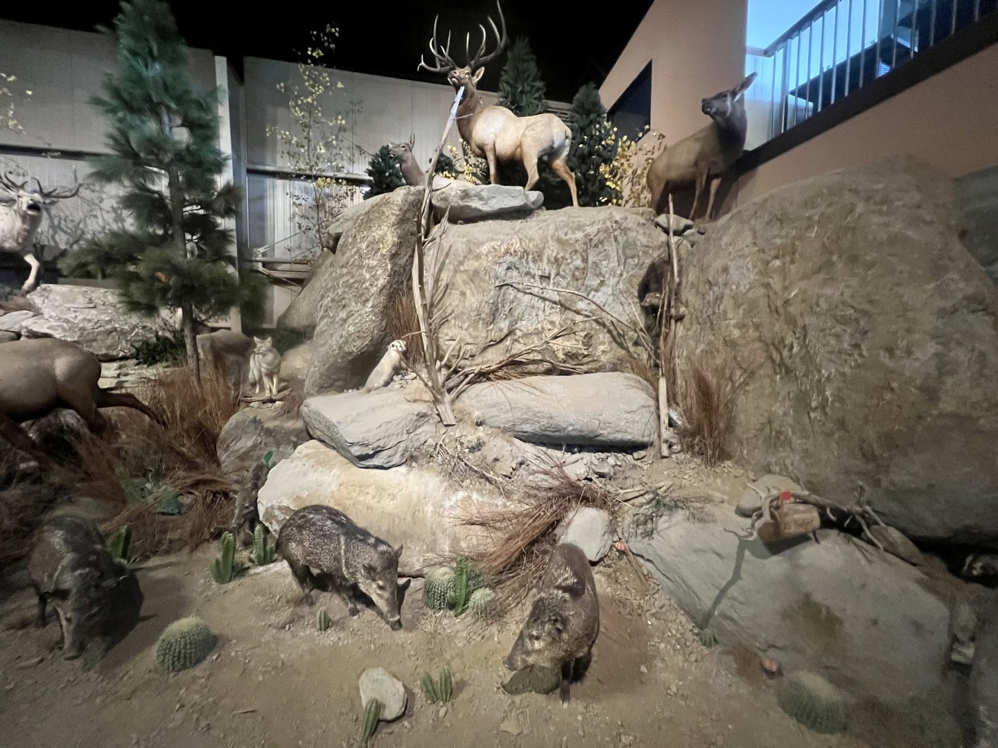 North American Exhibit