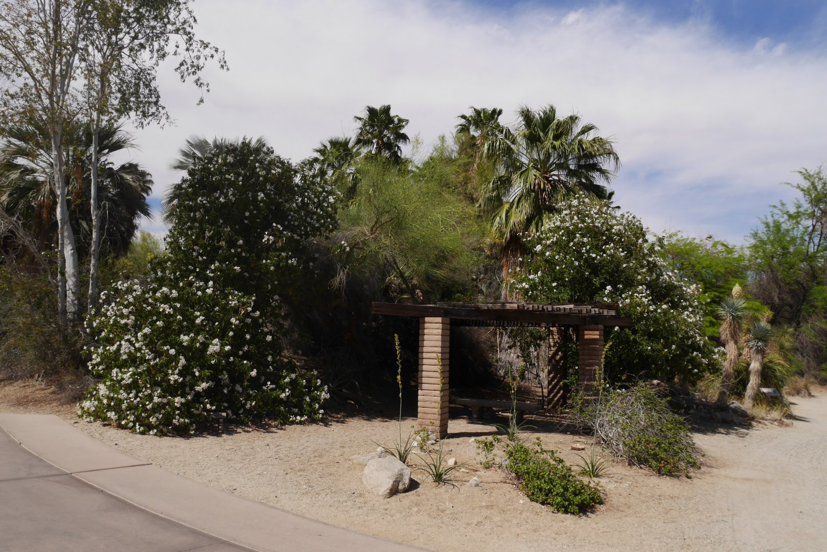 North American Garden - My First US Zoo Trip