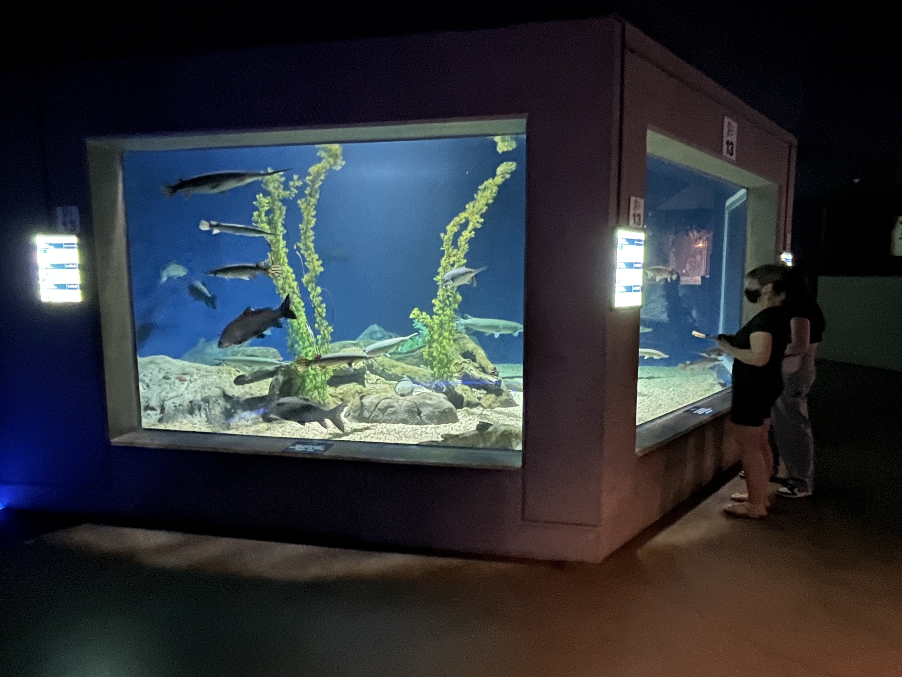 North American Giants Exhibit