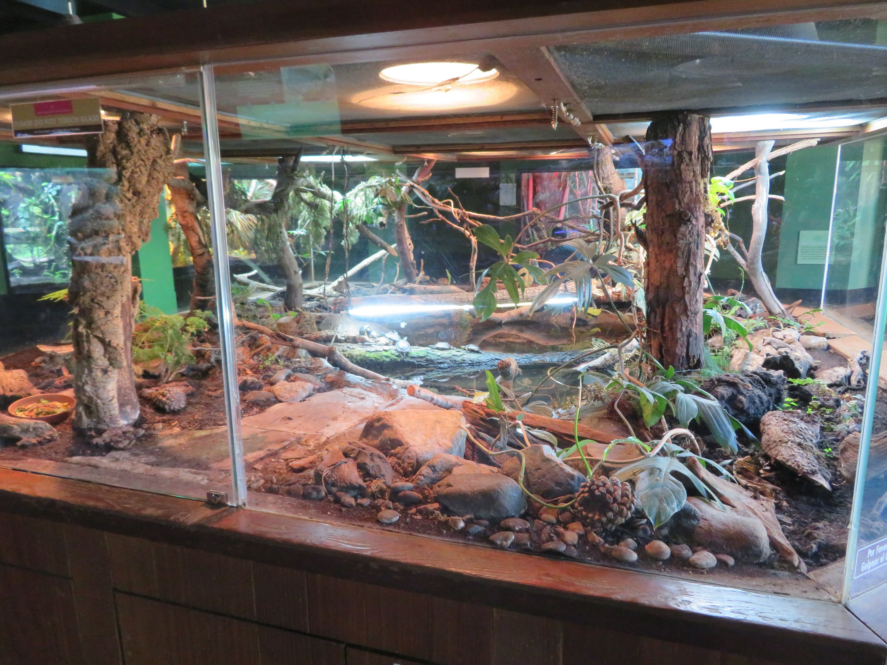 North American Herp Exhibit (3 Species)