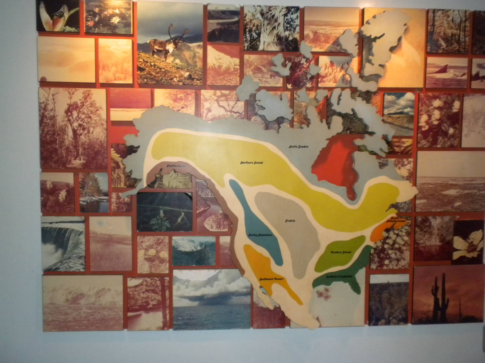 North American Living Museum - American Biome Map