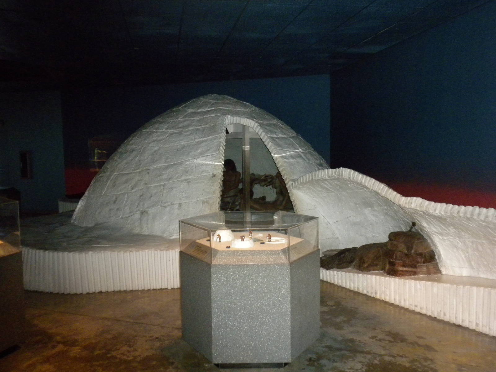 North American Living Museum - Arctic Tundra