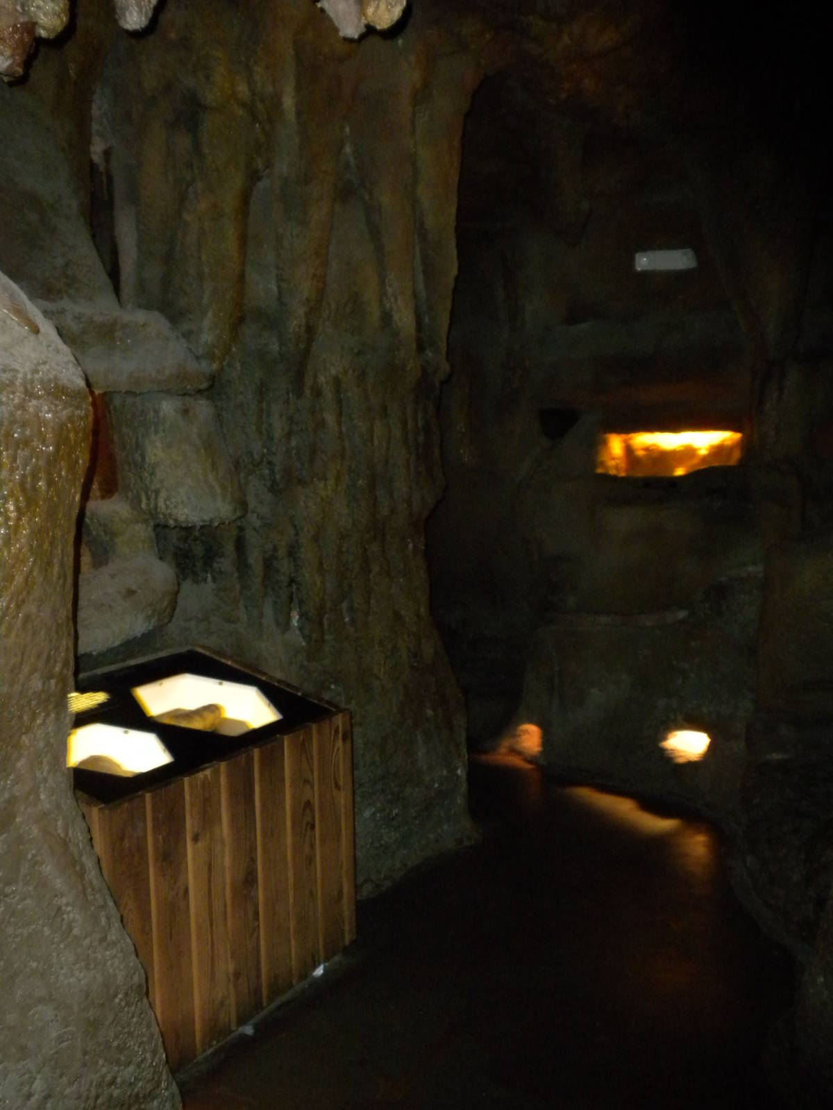 North American Living Museum - Caves