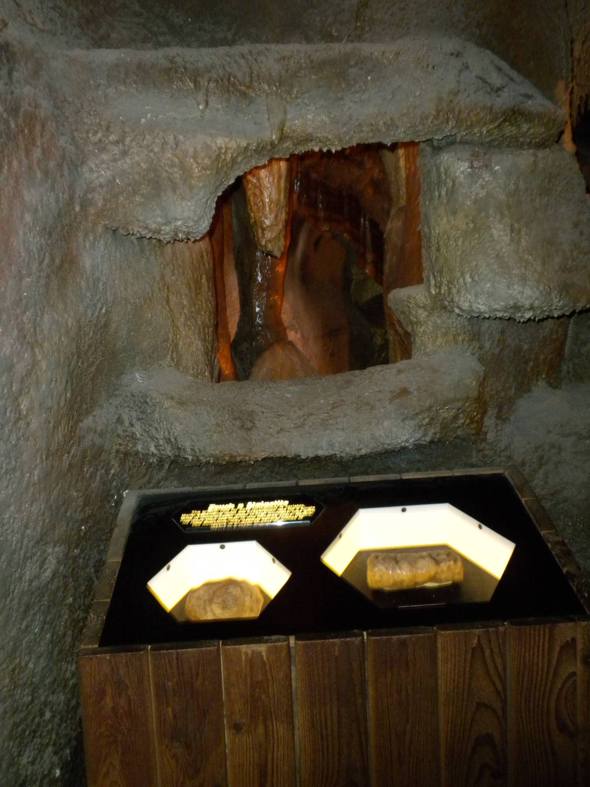 North American Living Museum - Caves