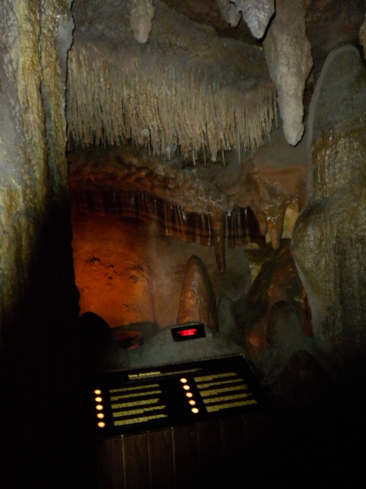 North American Living Museum - Caves