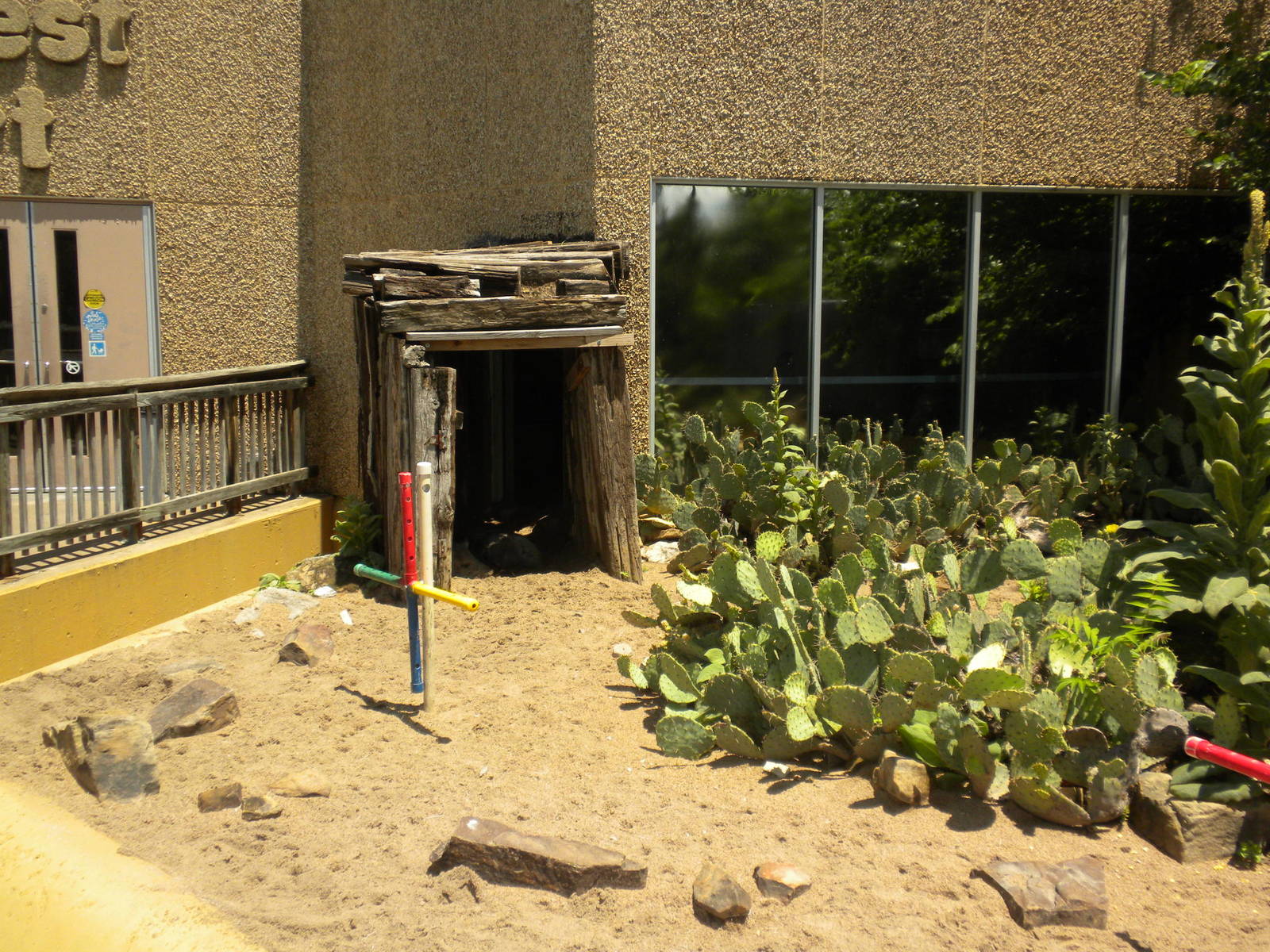 North American Living Museum - Collared Peccary