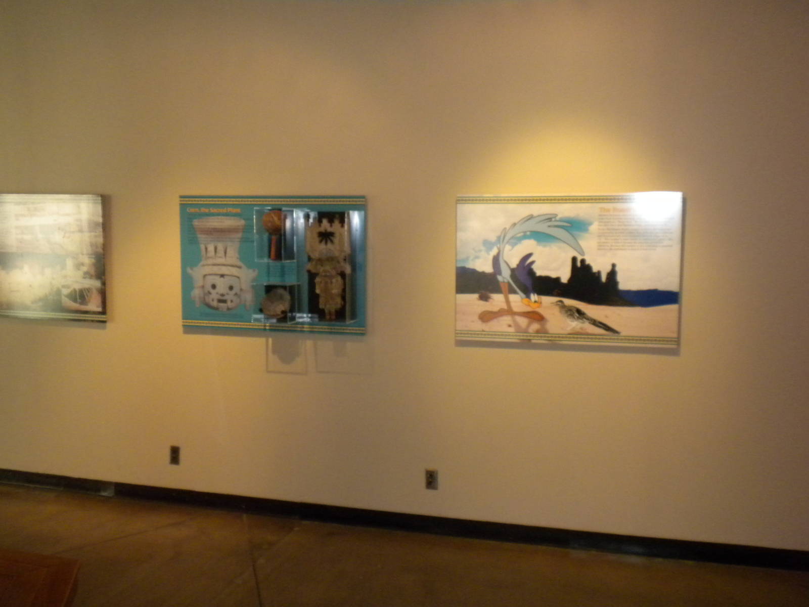 North American Living Museum - Desert Gallery