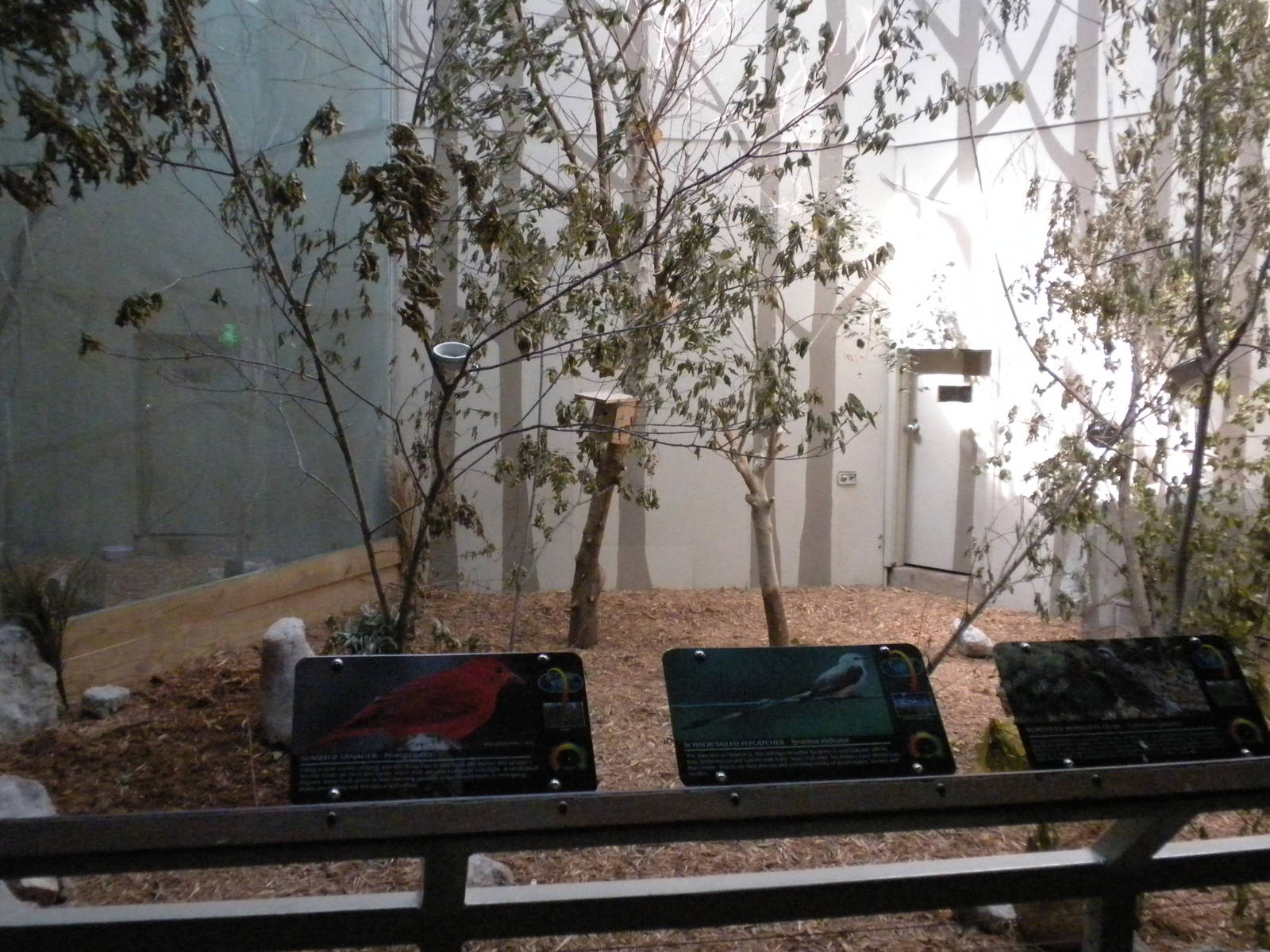 North American Living Museum - Eastern Forest Aviary