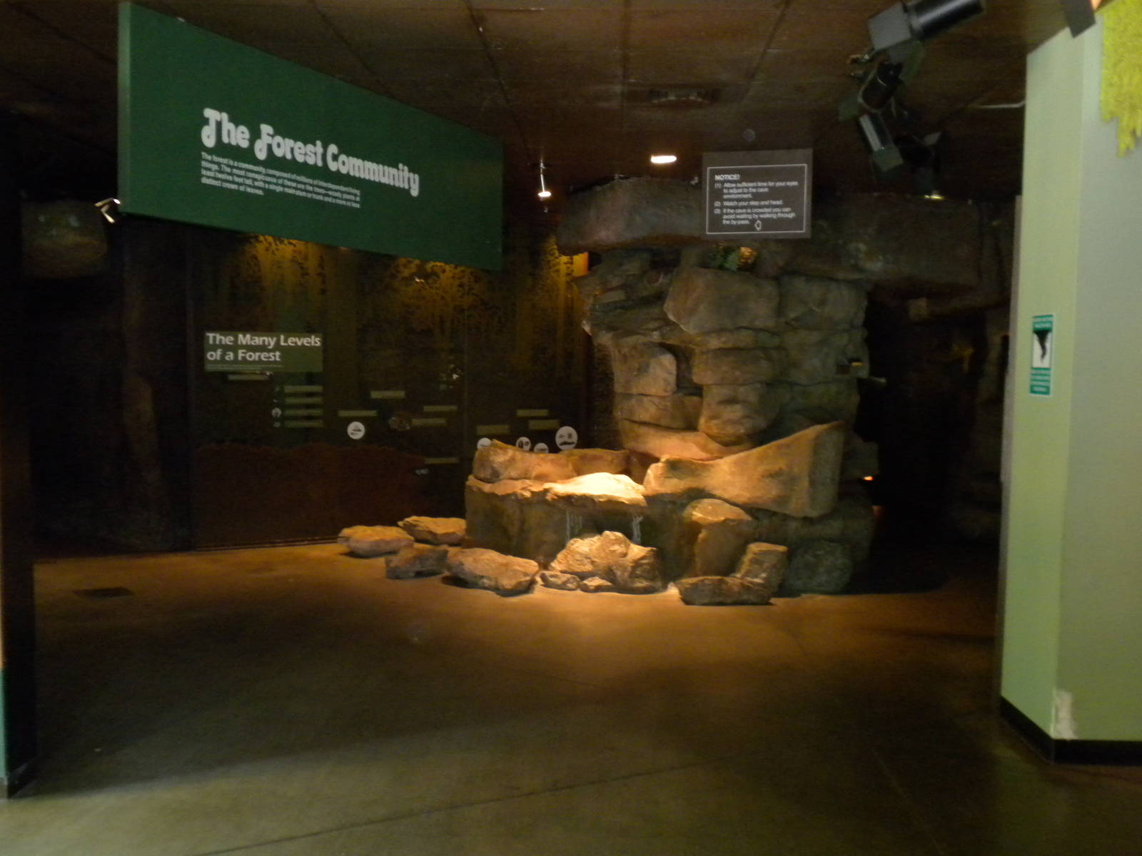 North American Living Museum - Eastern Forest entry