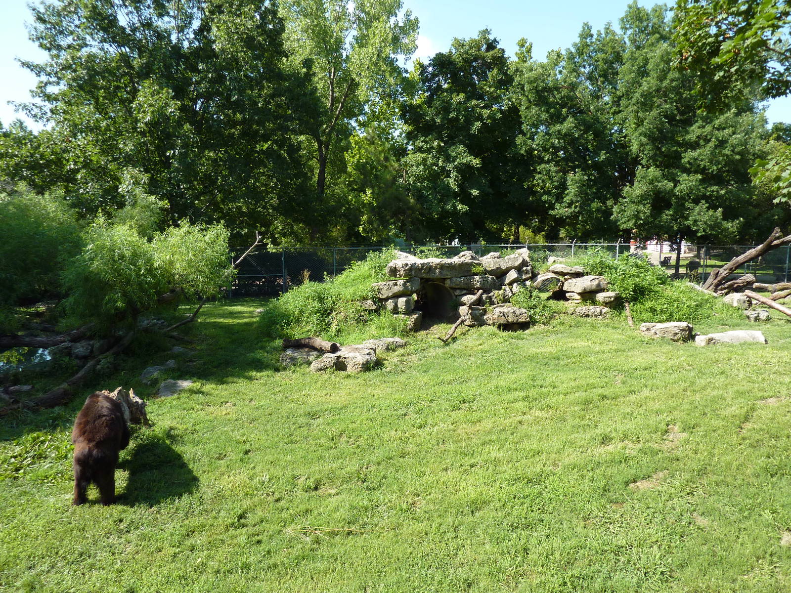 North American Living Museum - Eastern Forests - Black Bear Exhibit