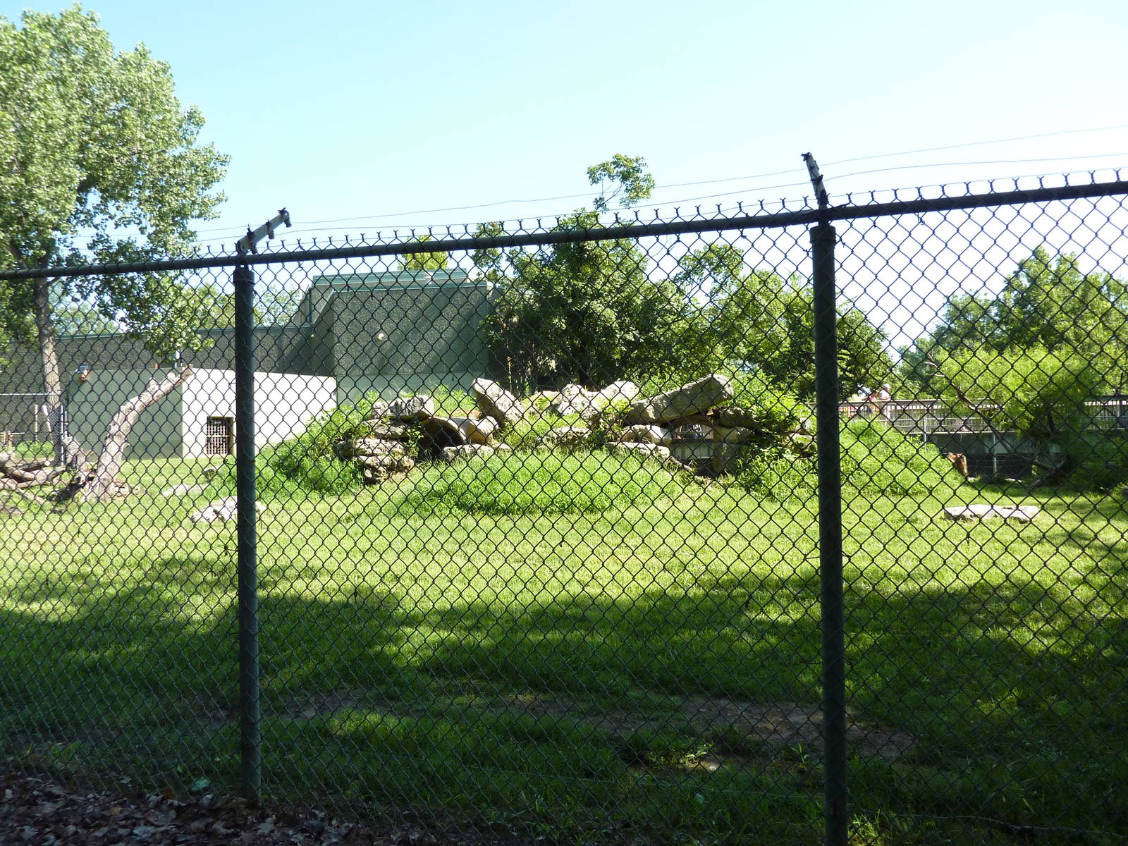 North American Living Museum - Eastern Forests - Black Bear Exhibit