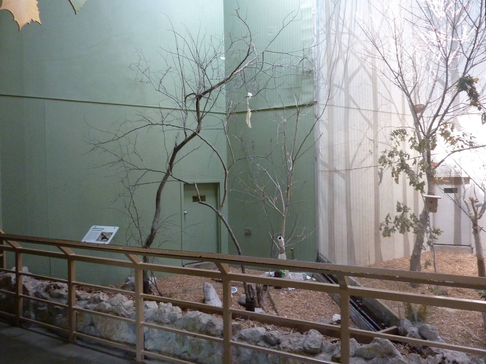 North American Living Museum - Eastern Forests - Common Crow Enclosure