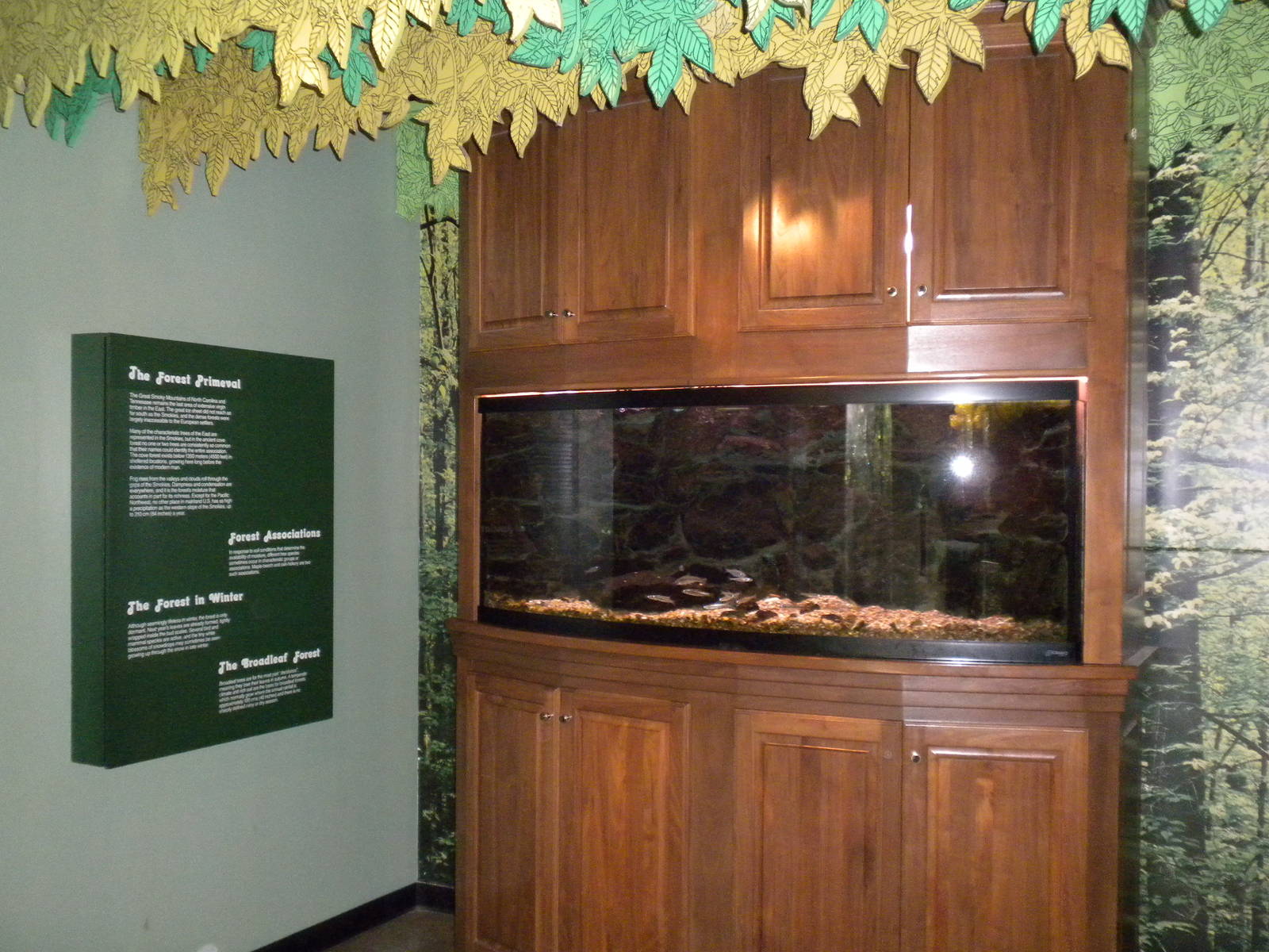 North American Living Museum - Fish of the Great Lakes