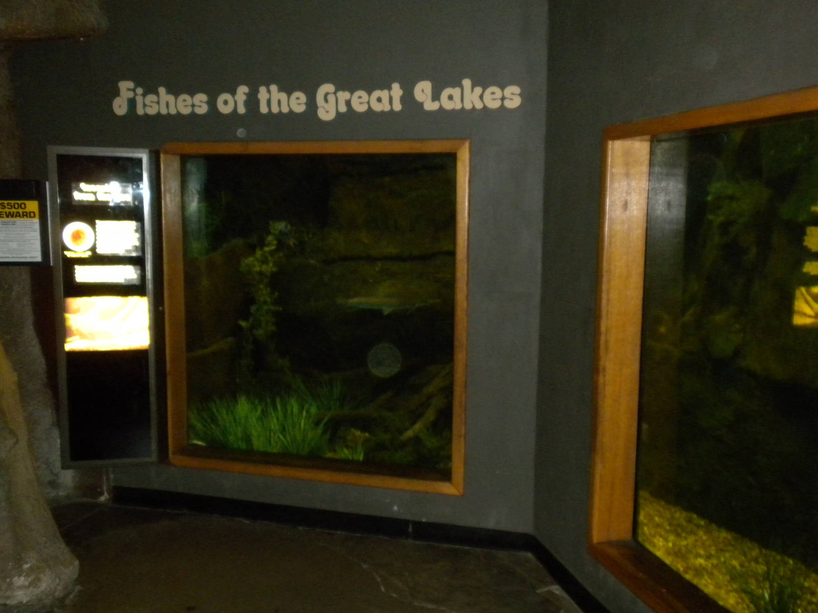 North American Living Museum - Fishes of the Great Lakes