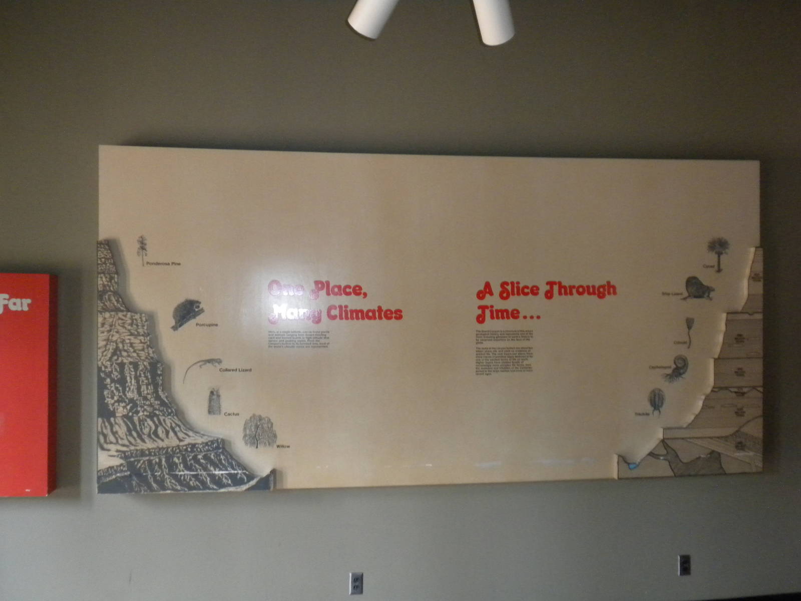 North American Living Museum - Grand Canyon geology