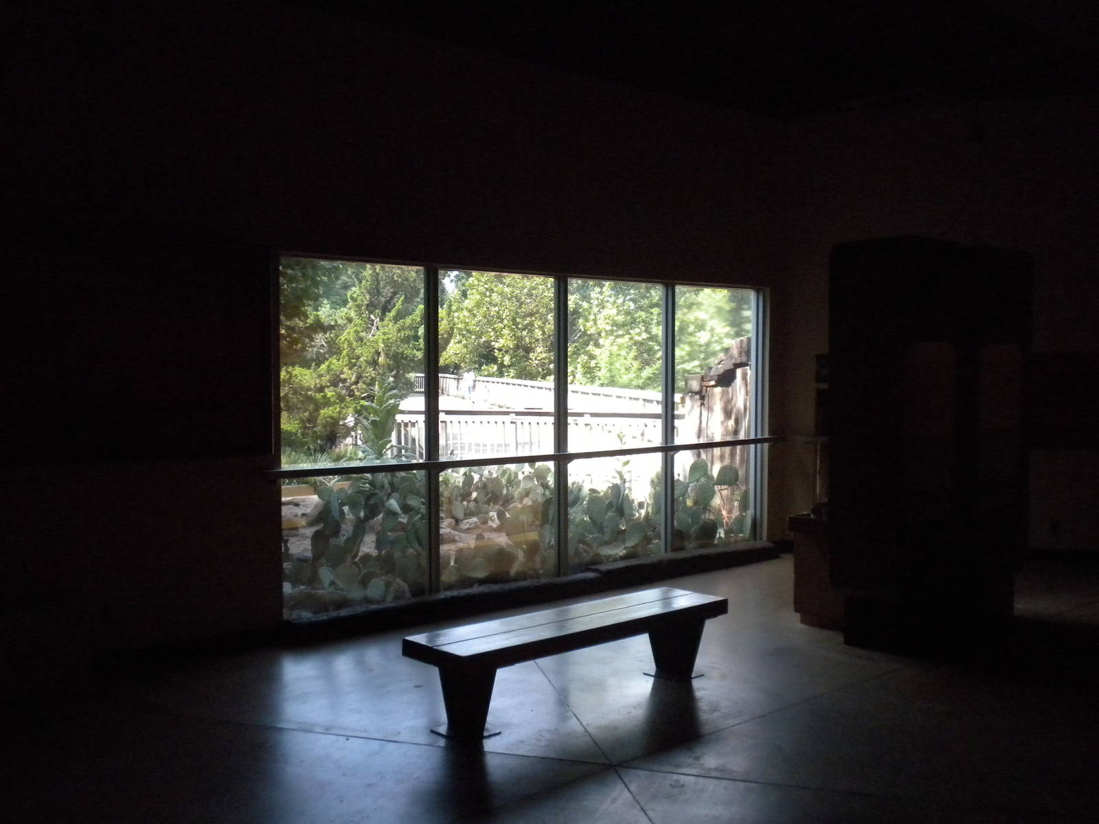 North American Living Museum - Javelina exhibit