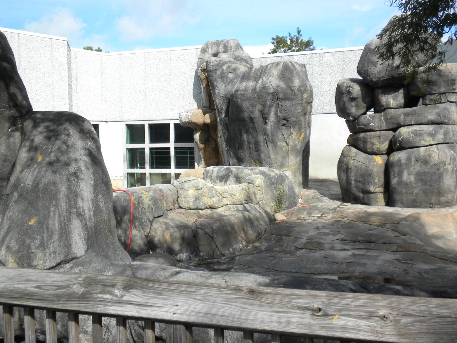 North American Living Museum - Polar Bear exhibit